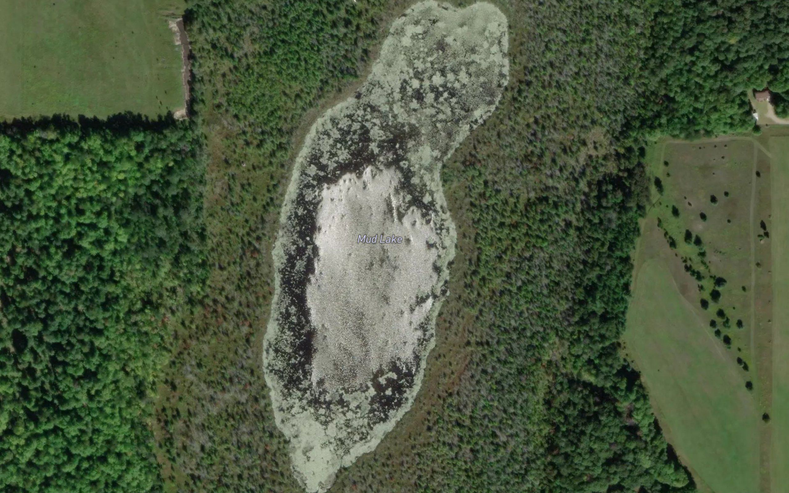 Mud Lake