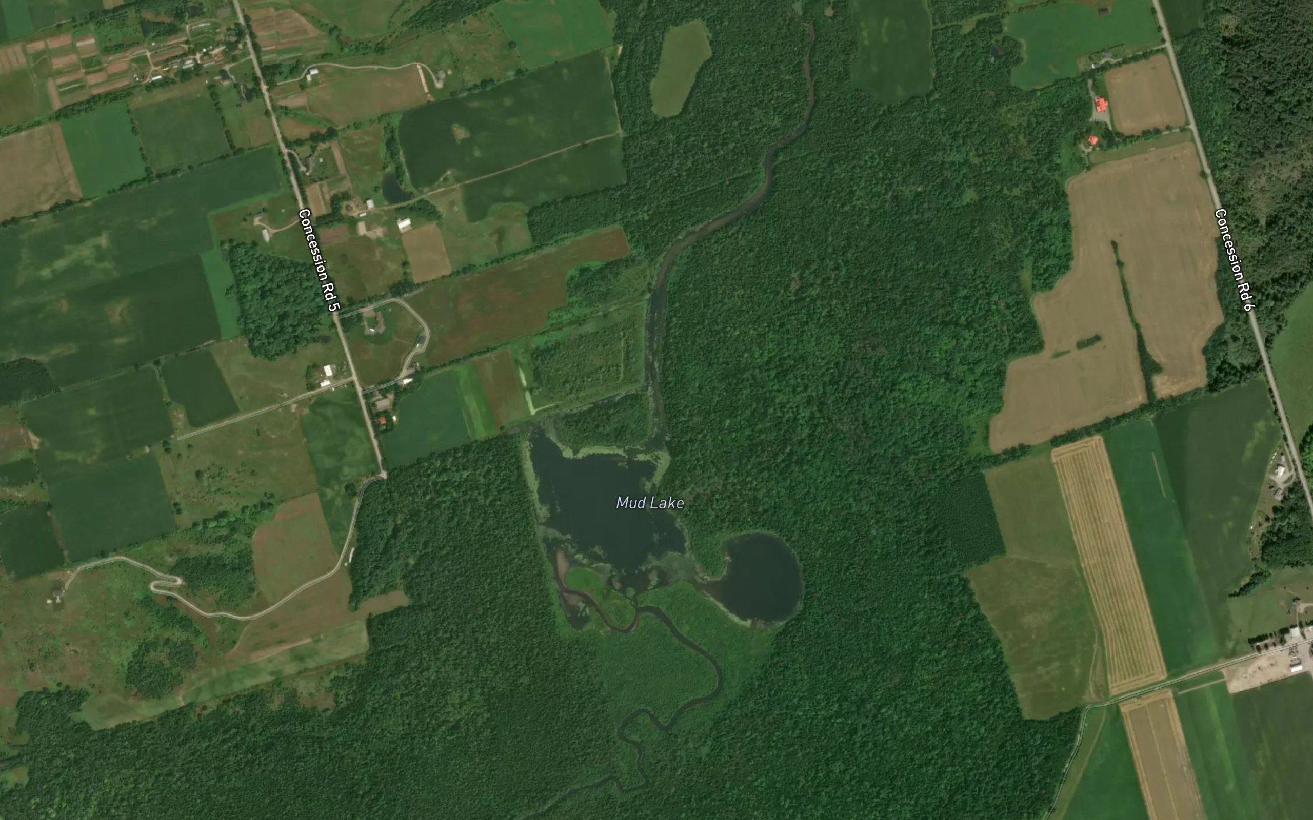 Mud Lake