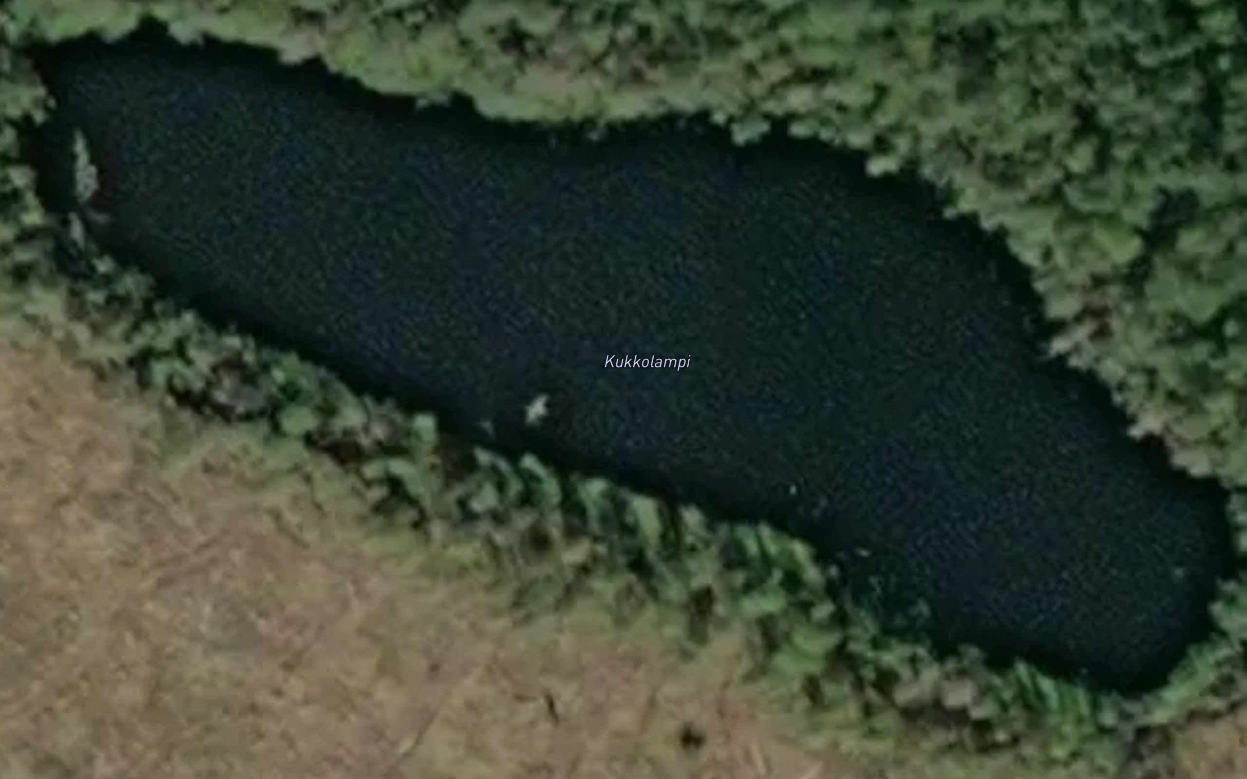 Kukkolampi