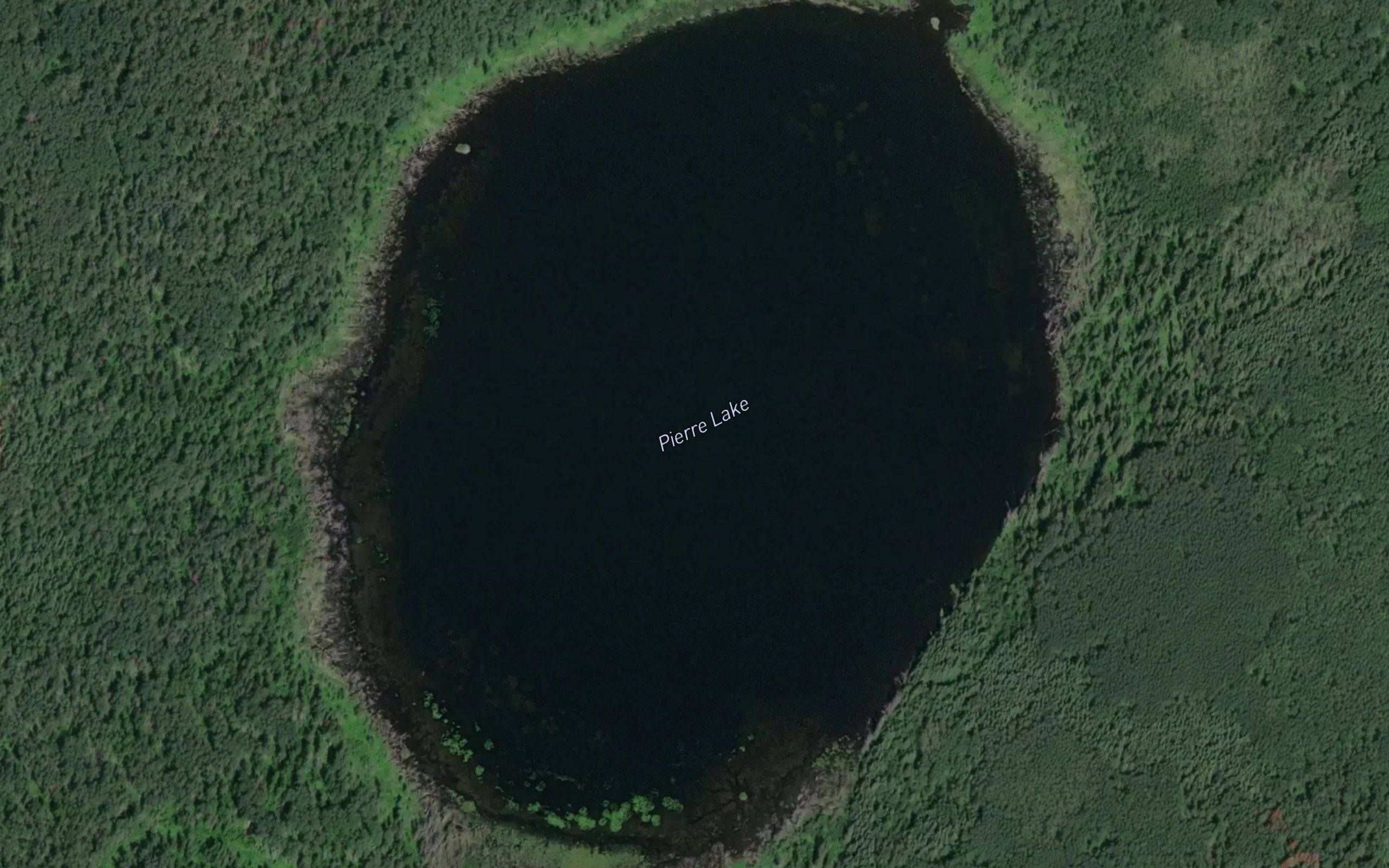 Pierre Lake
