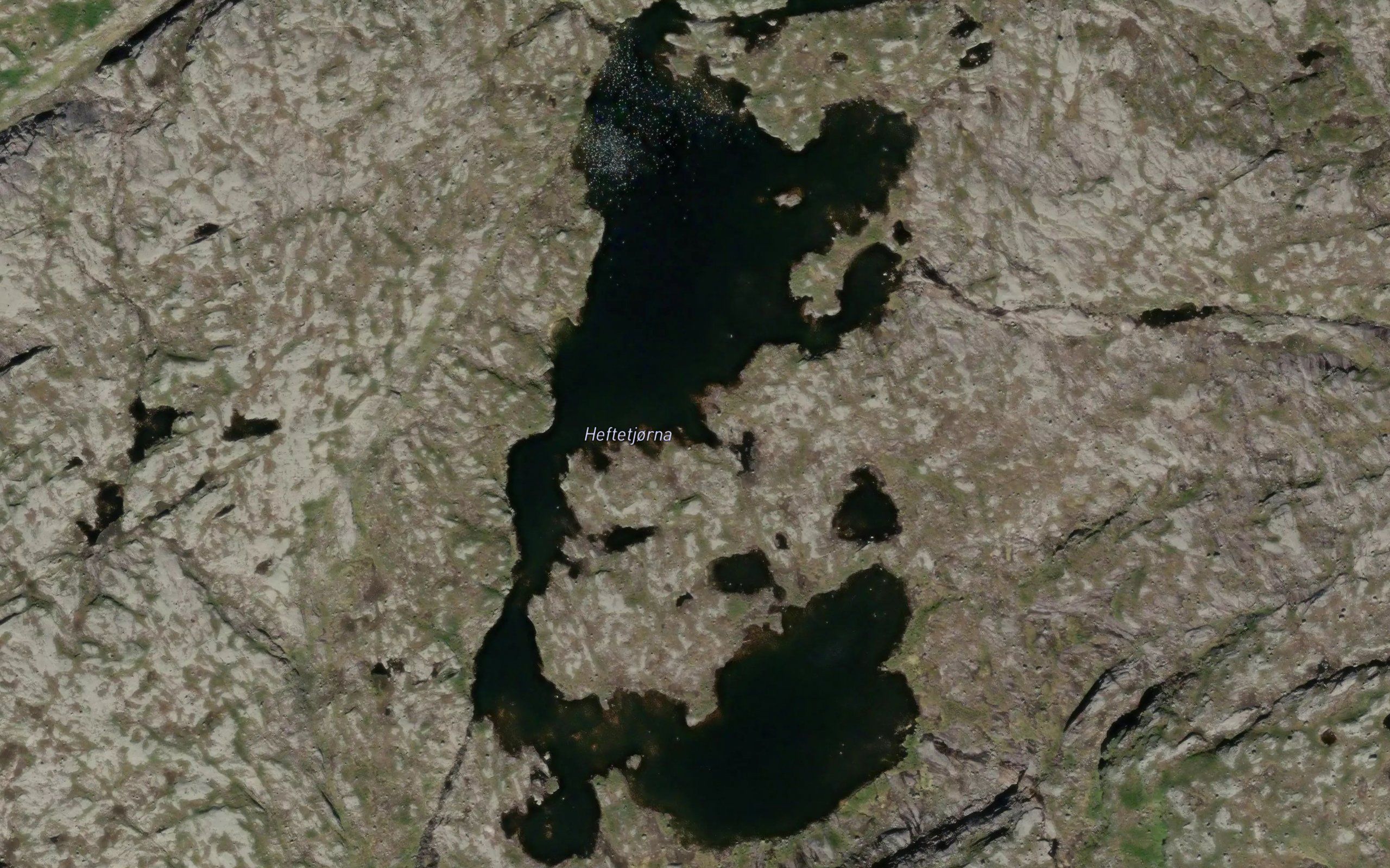 Heftetjorna