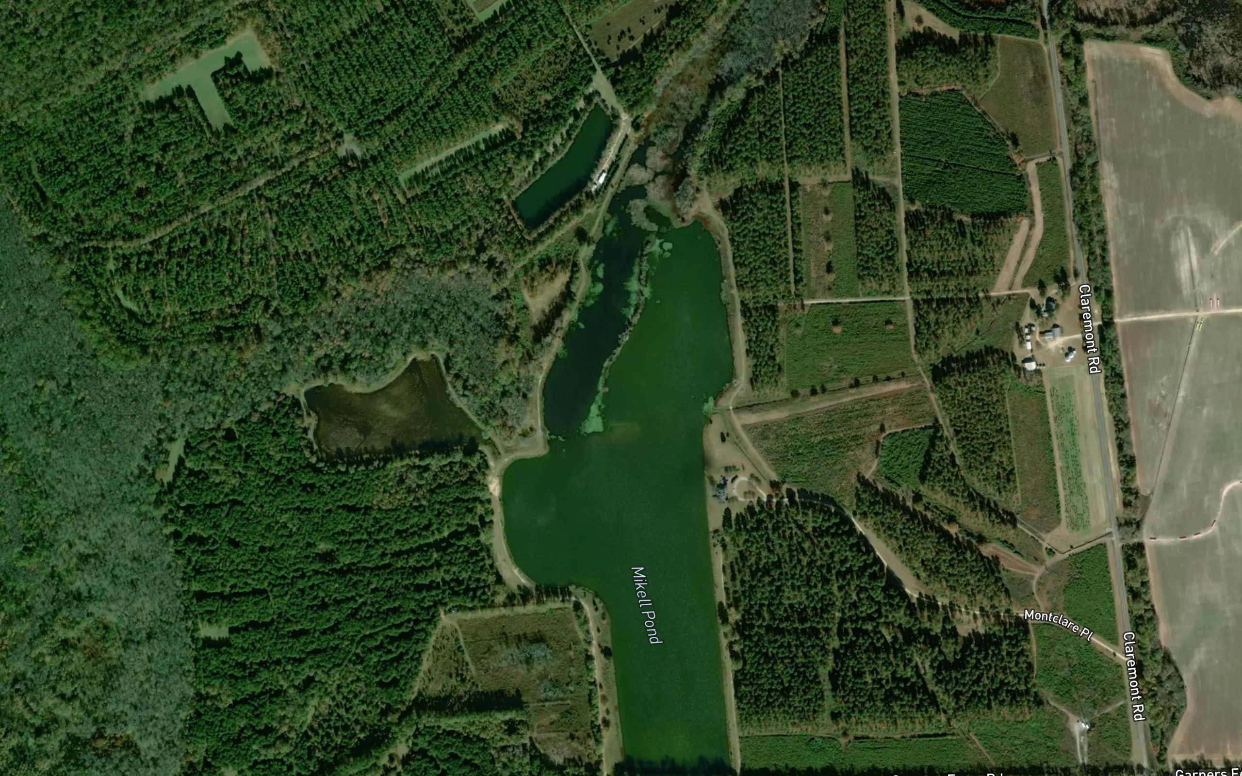 Mikell Pond