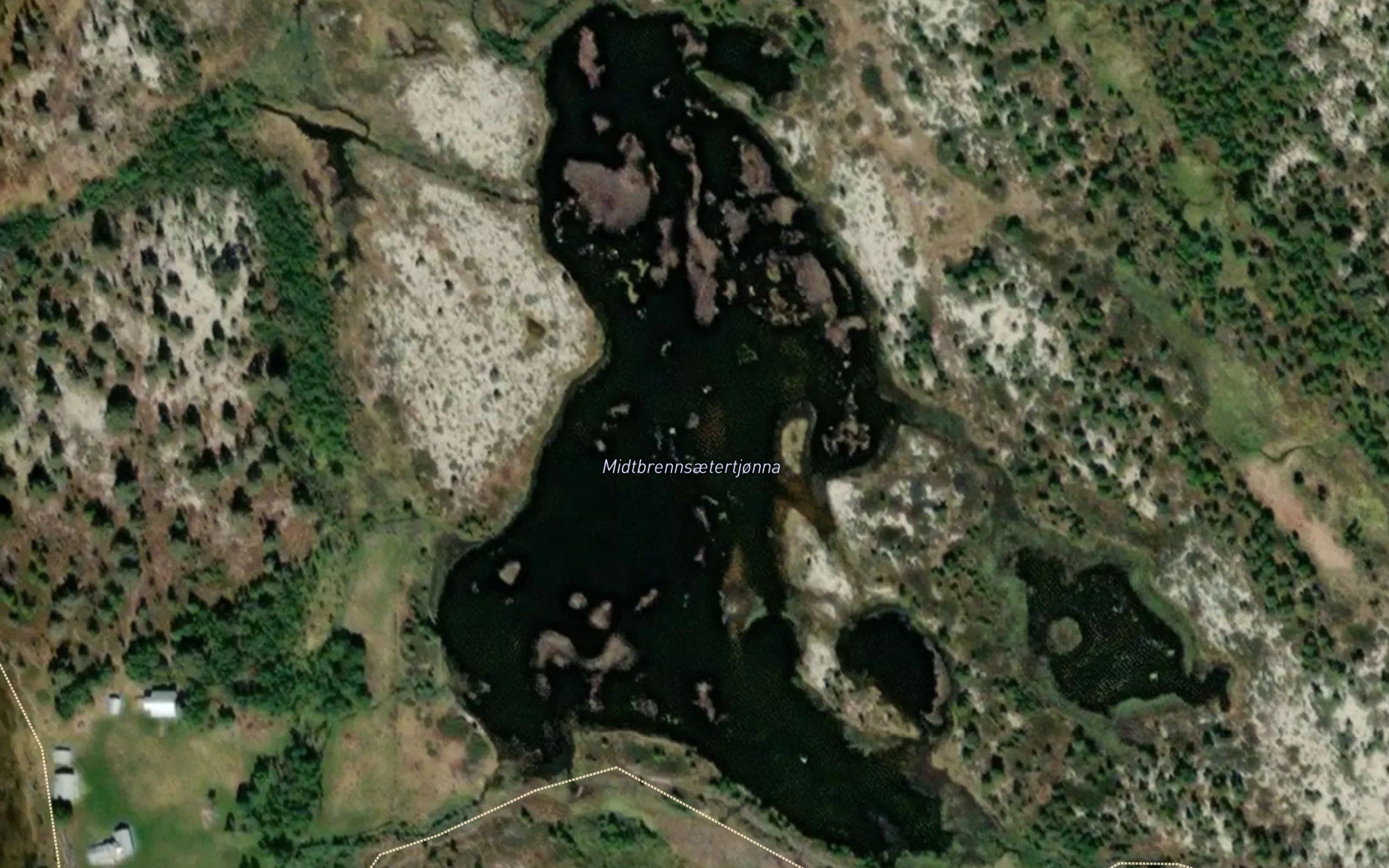 Midtbrennsaetertjonna