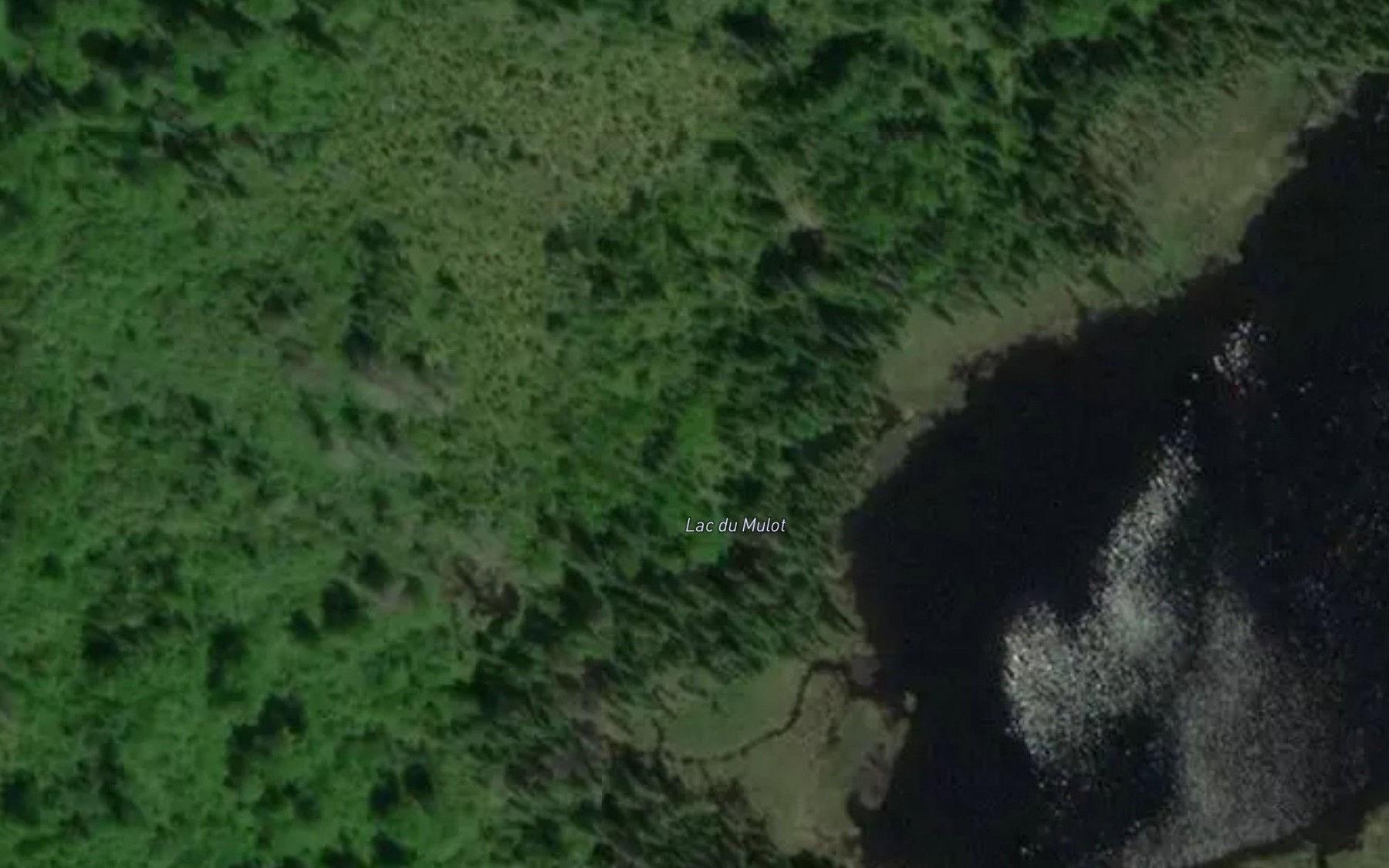 Satellite map of the Lac du Mulot