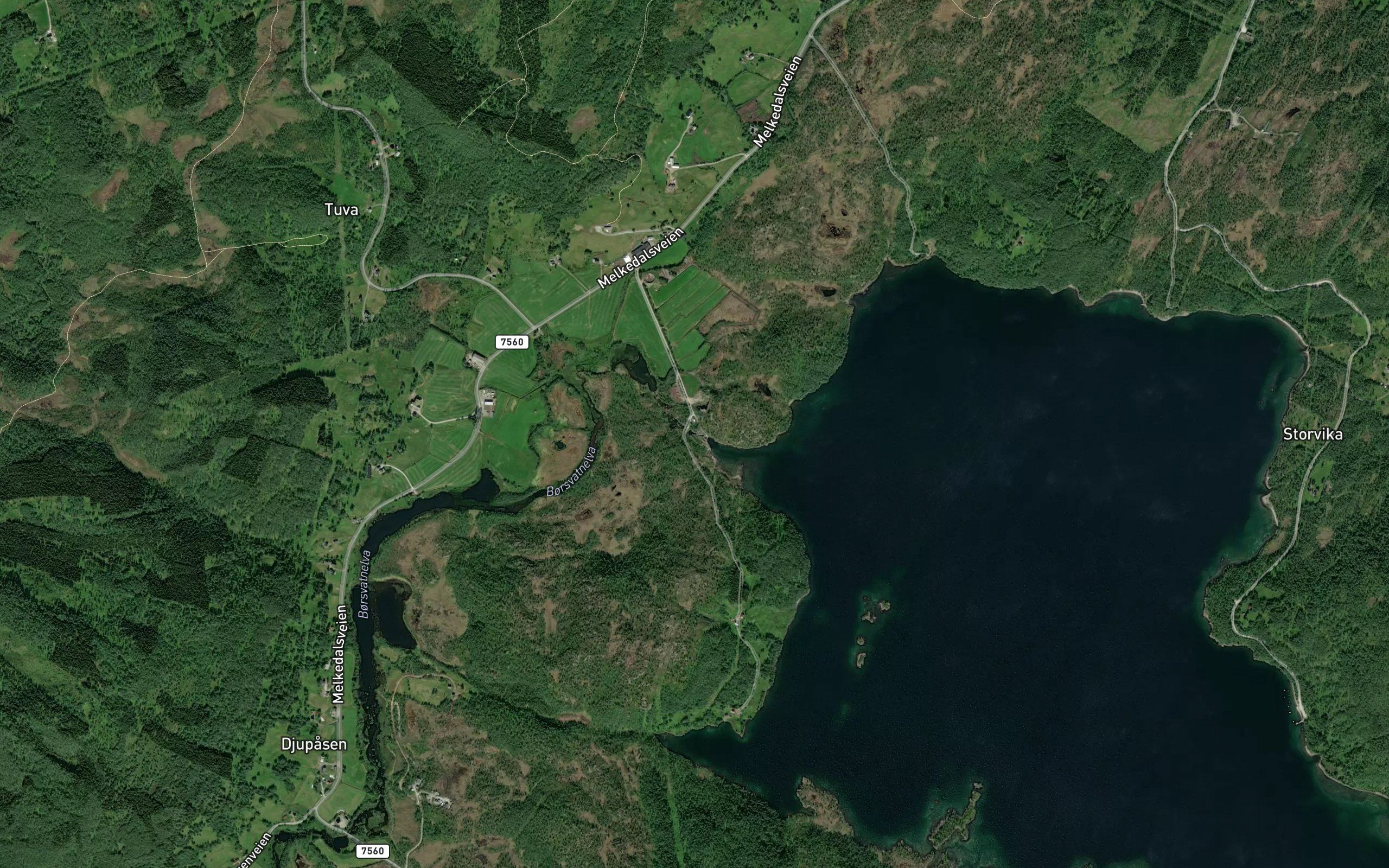 Borsvassforsen
