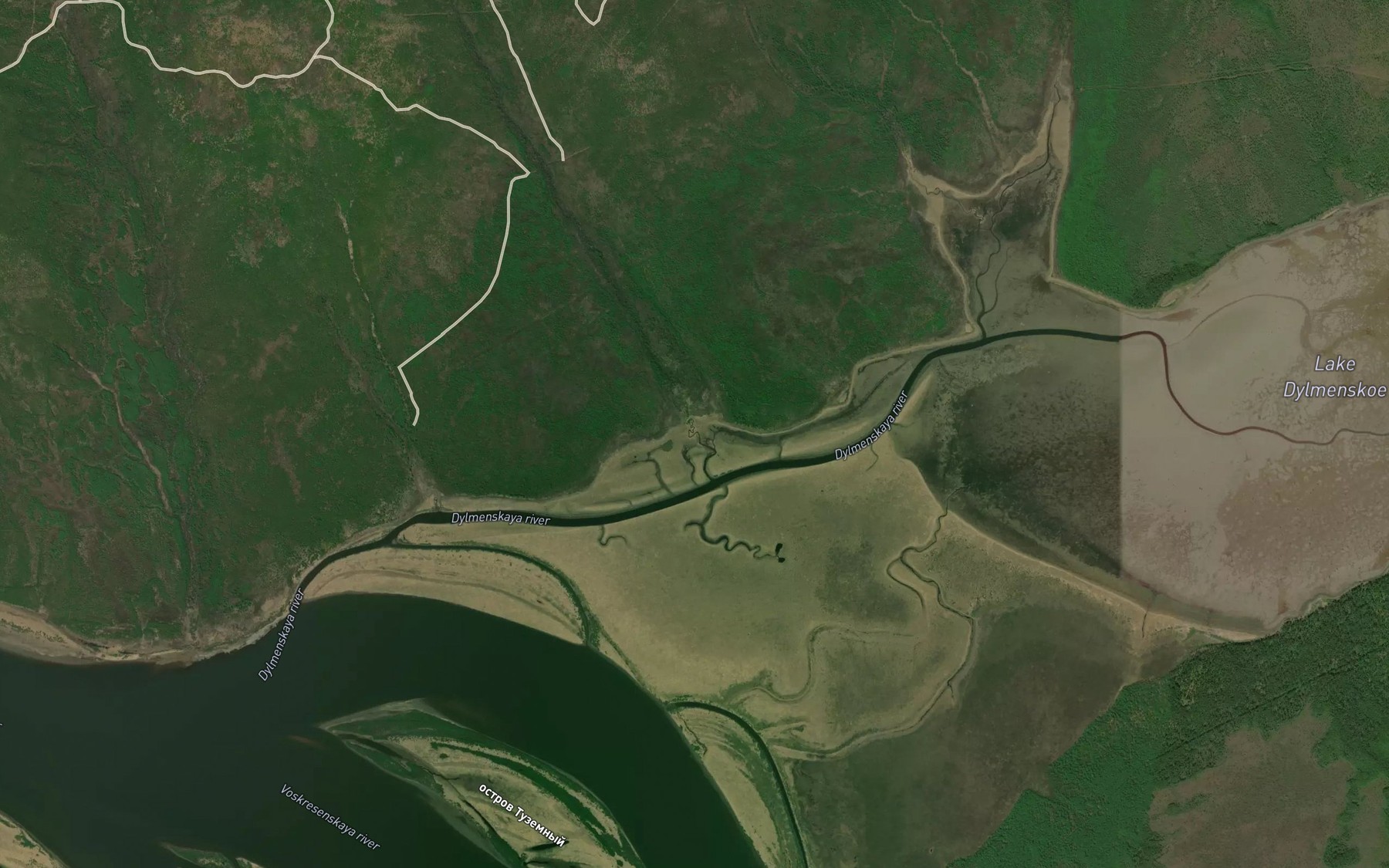 Satellite map of the Dyl'menskiy