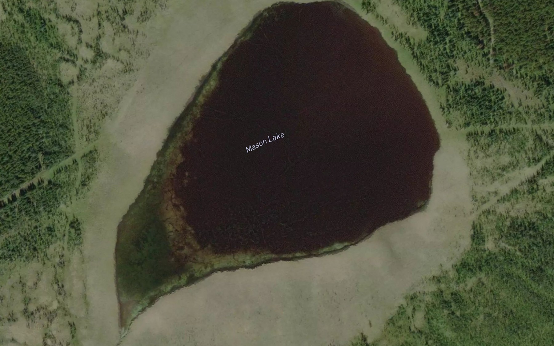 Satellite map of the Mason Lake