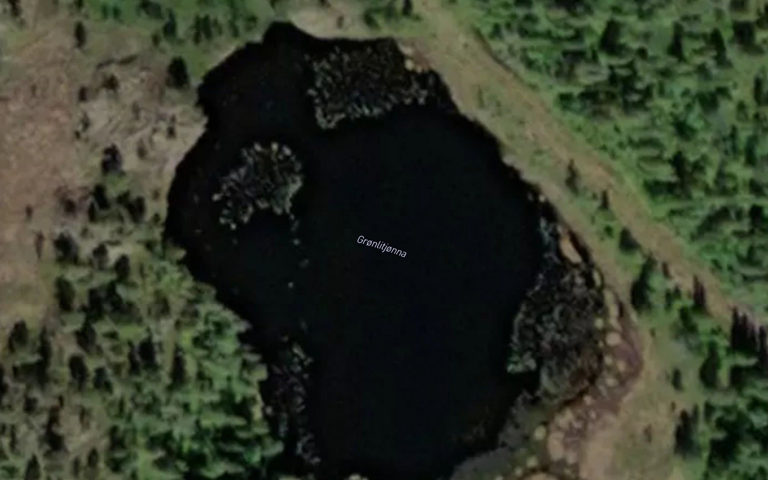 Gronlitjonna