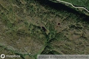Spjotskartjonna