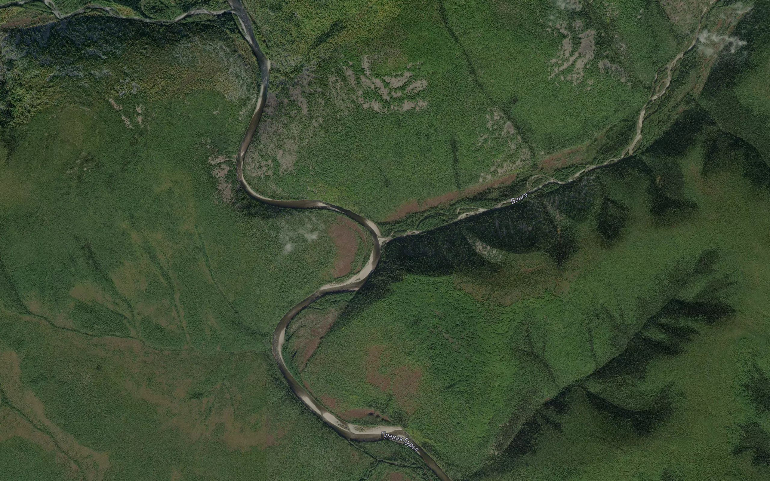 Vanga
