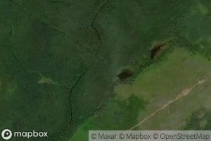 East Branch Little Forks Stream