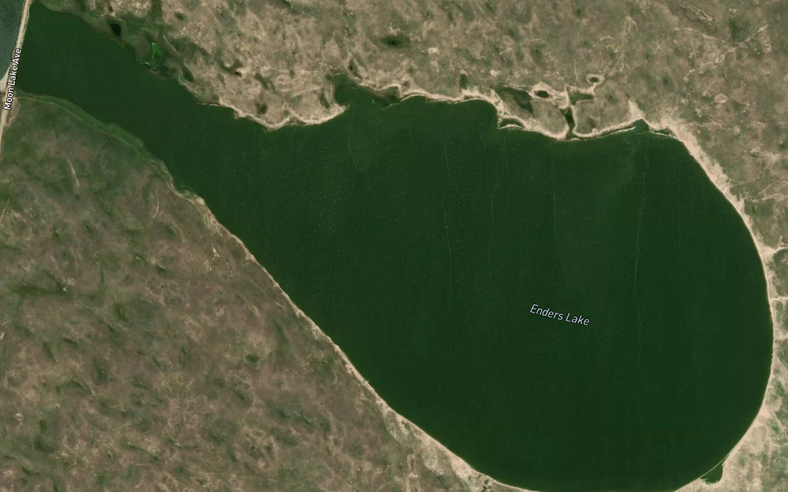Enders Marsh