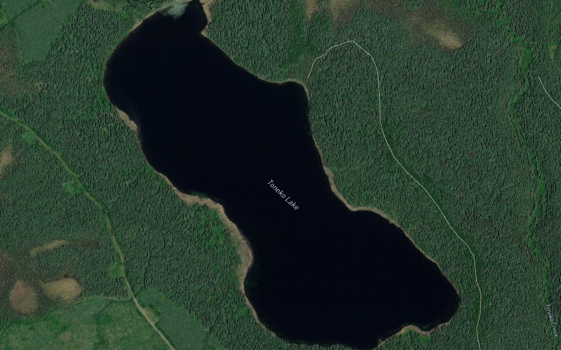 Satellite map of the Toneko Lake