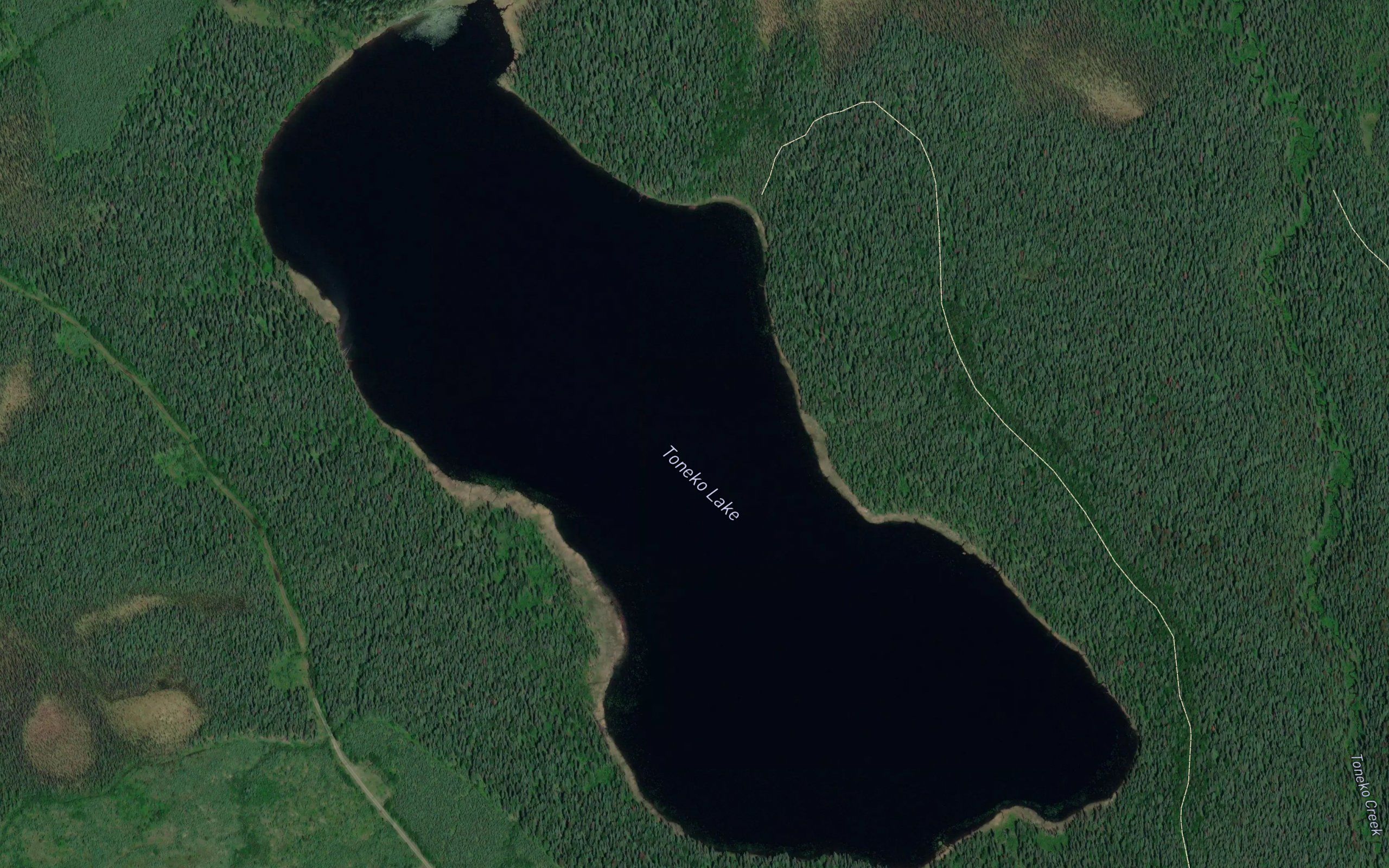 Toneko Lake