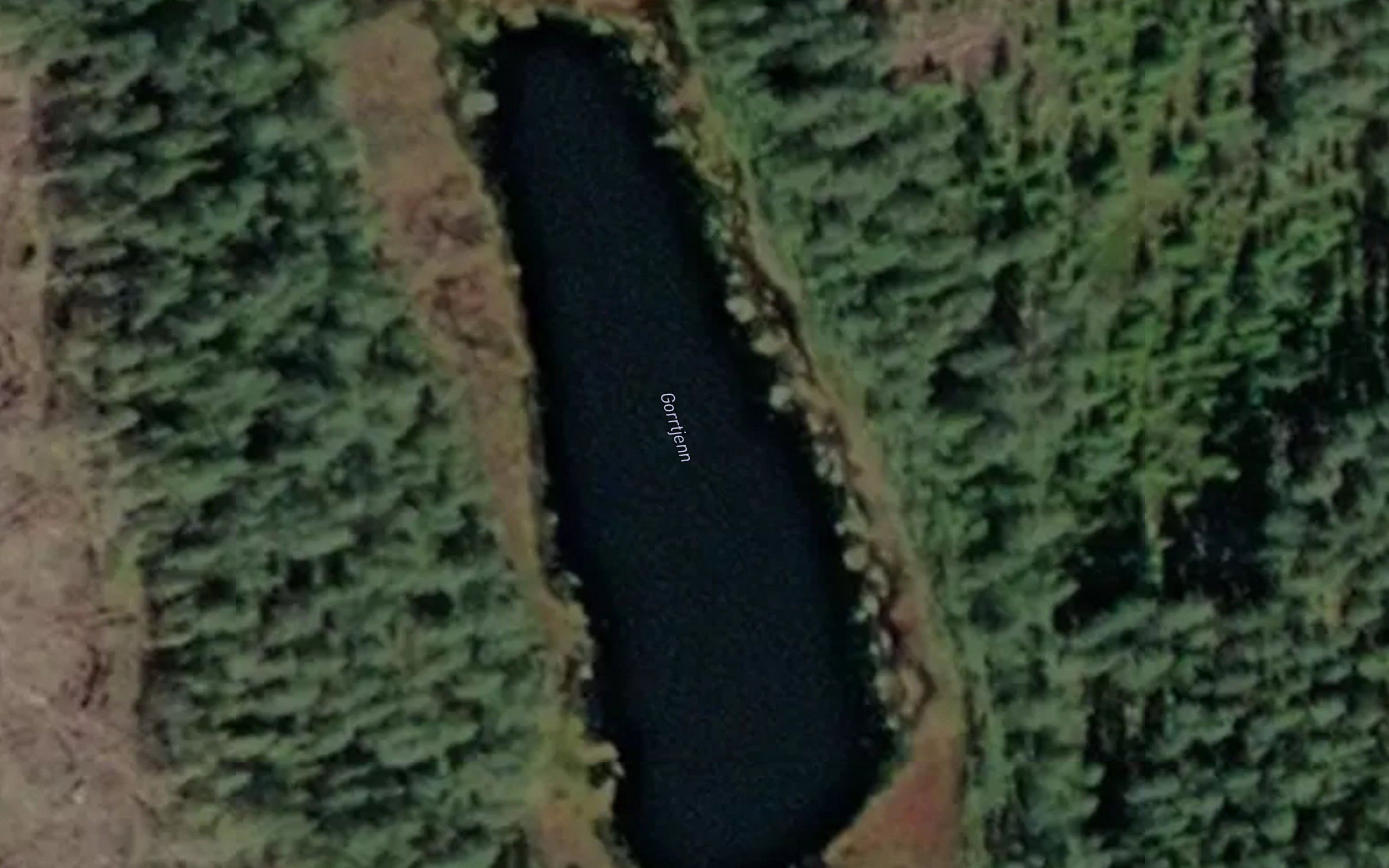 Gorrtjennet