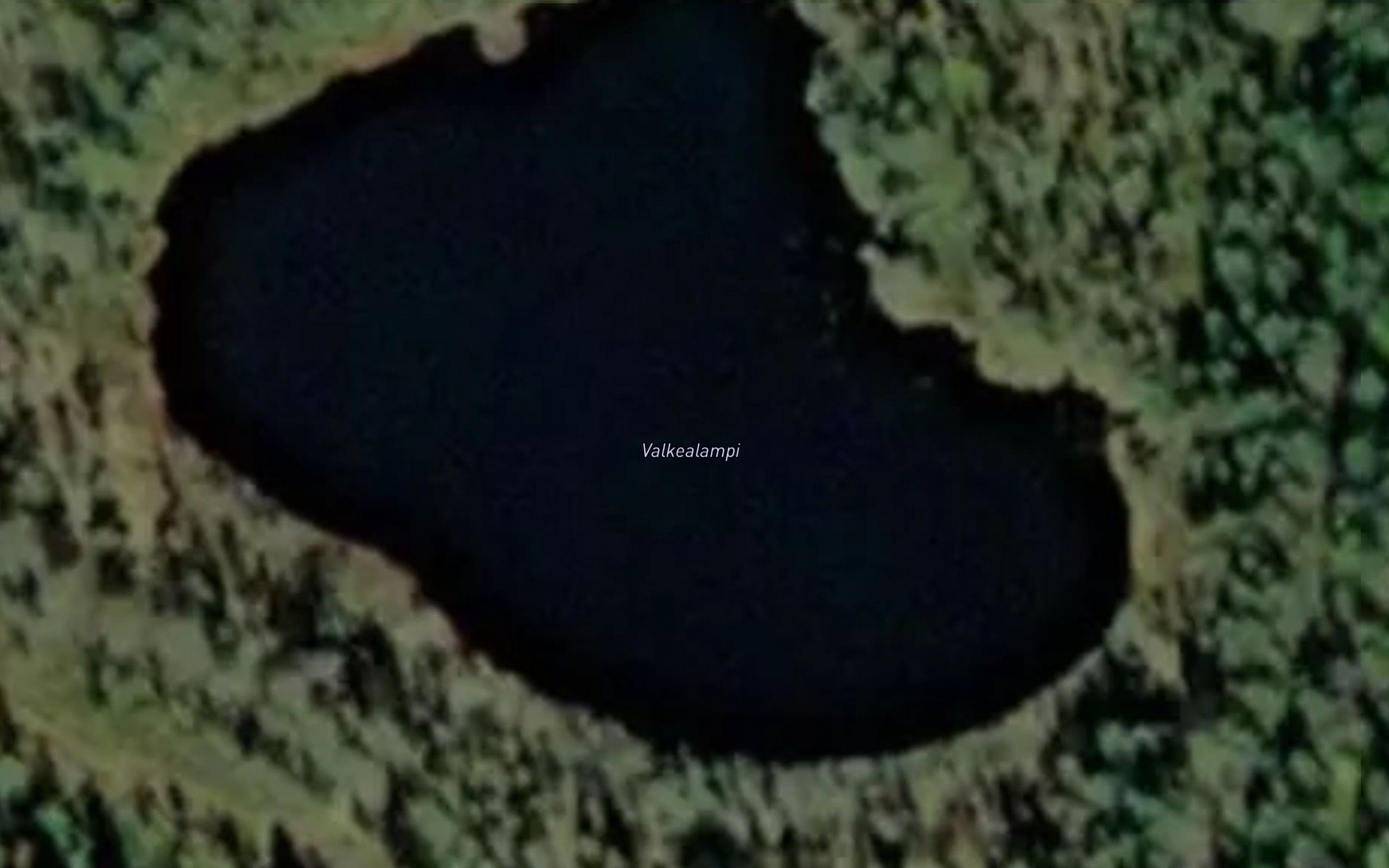 Valkealampi