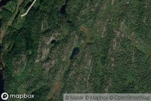 Lomstjenn