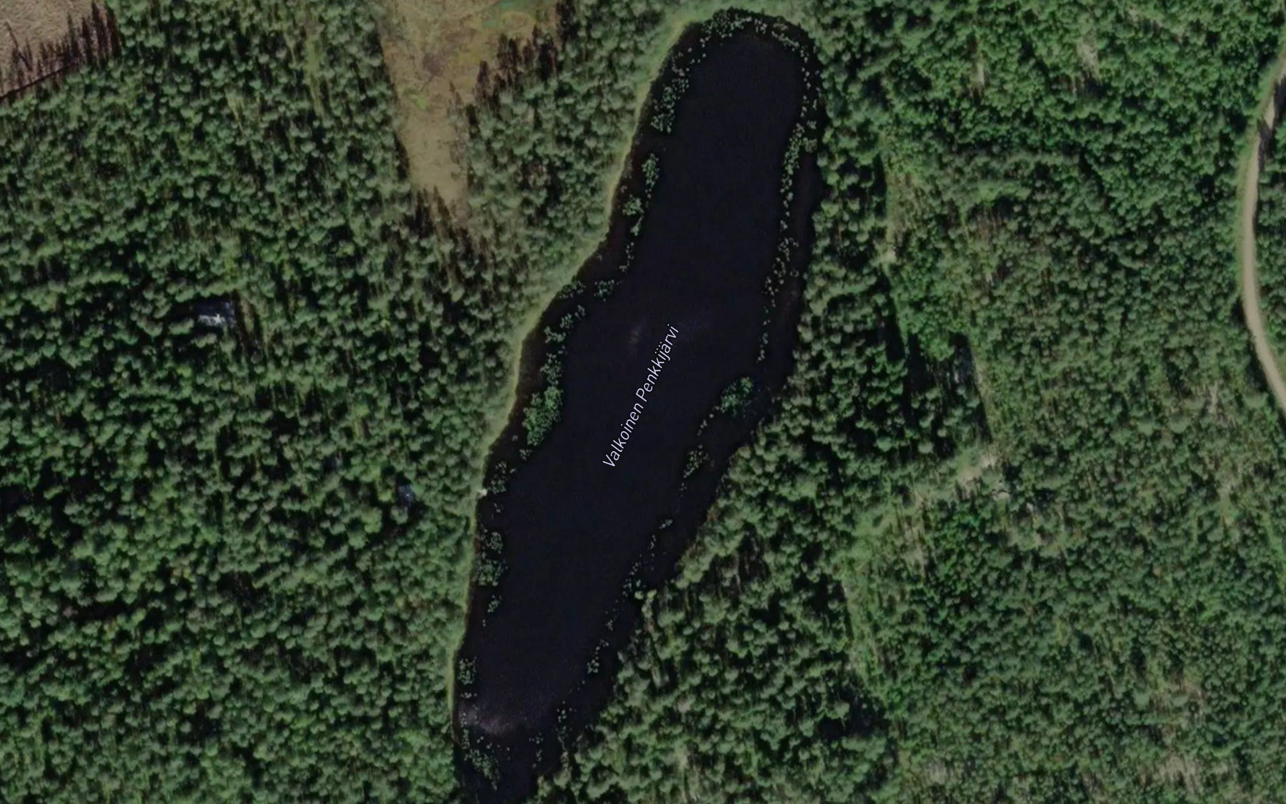 Valkoinen Penkkijarvi
