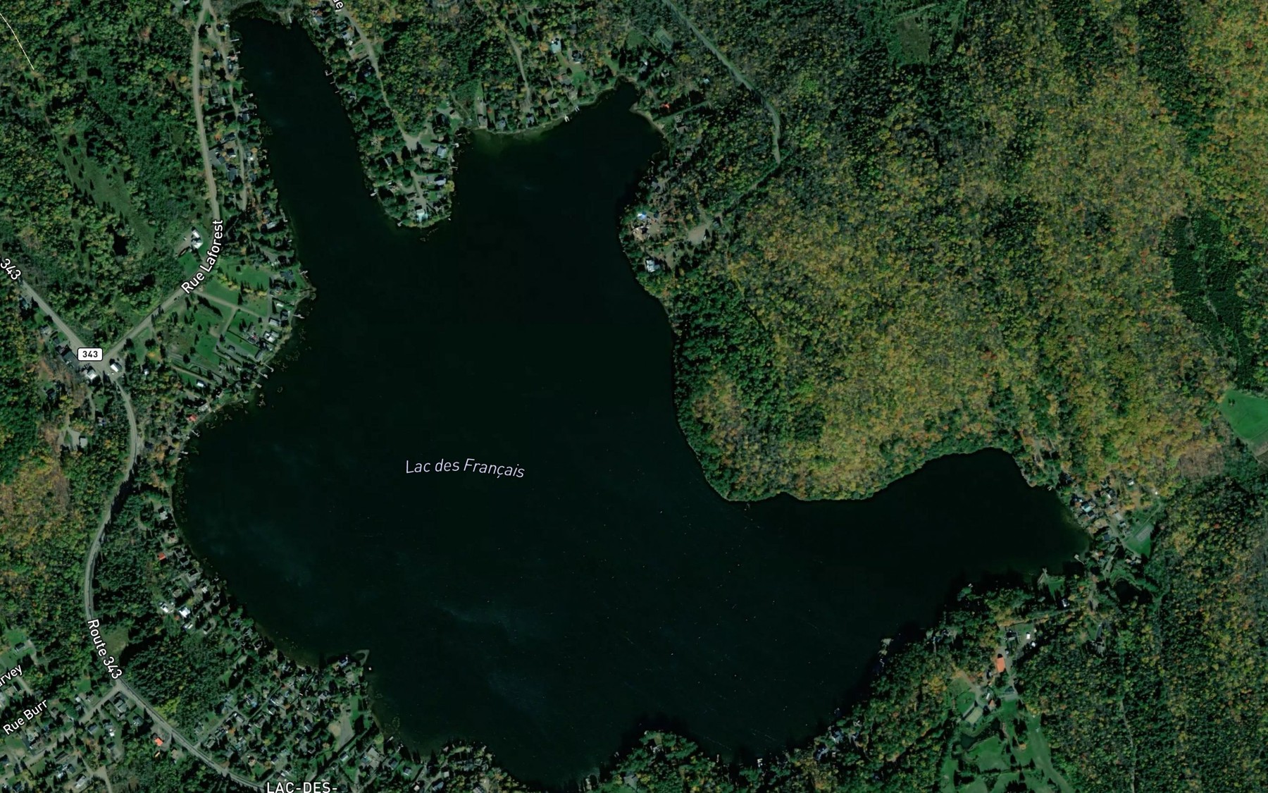 Satellite map of the Lac des Francais