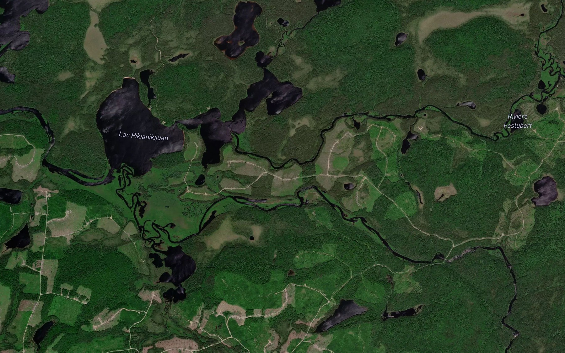 Satellite map of the Etang de l'Artichaut