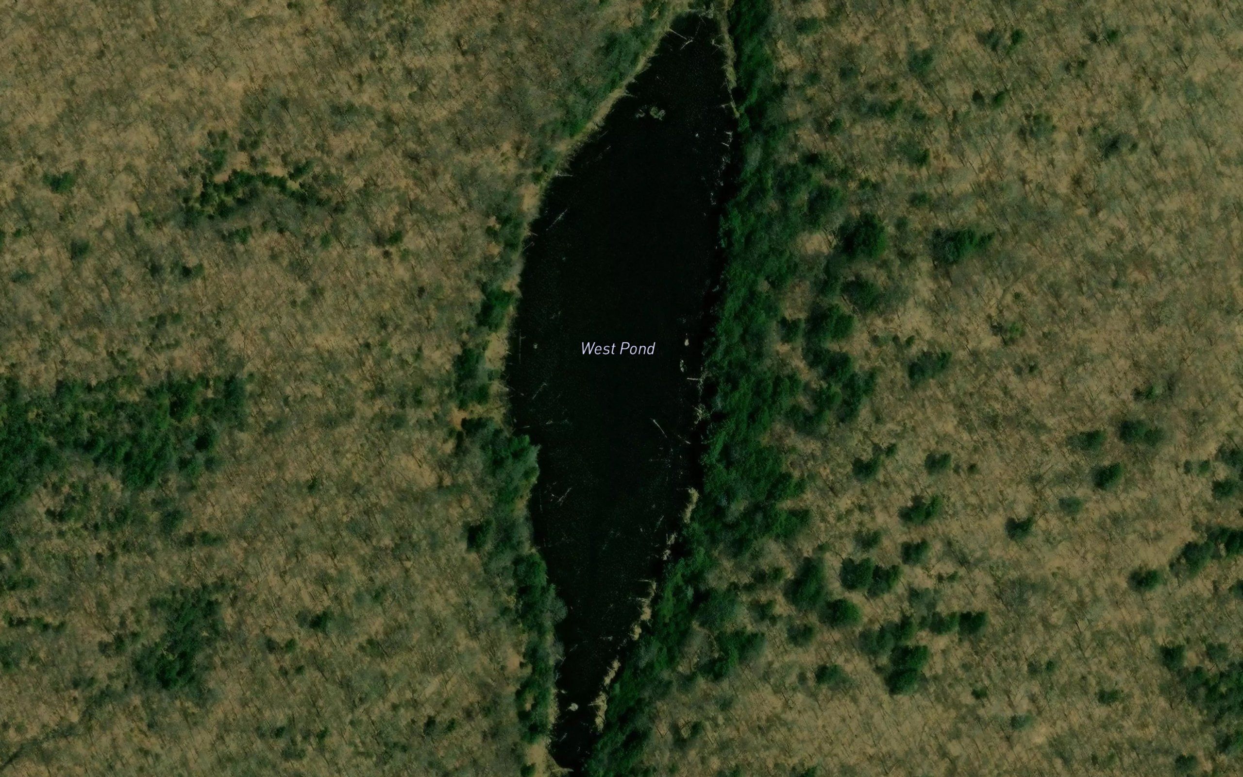 West Pond