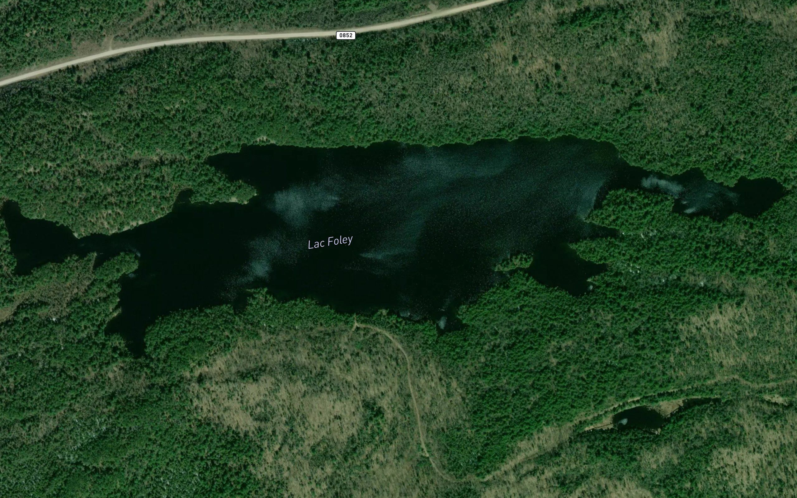 Lac Foley
