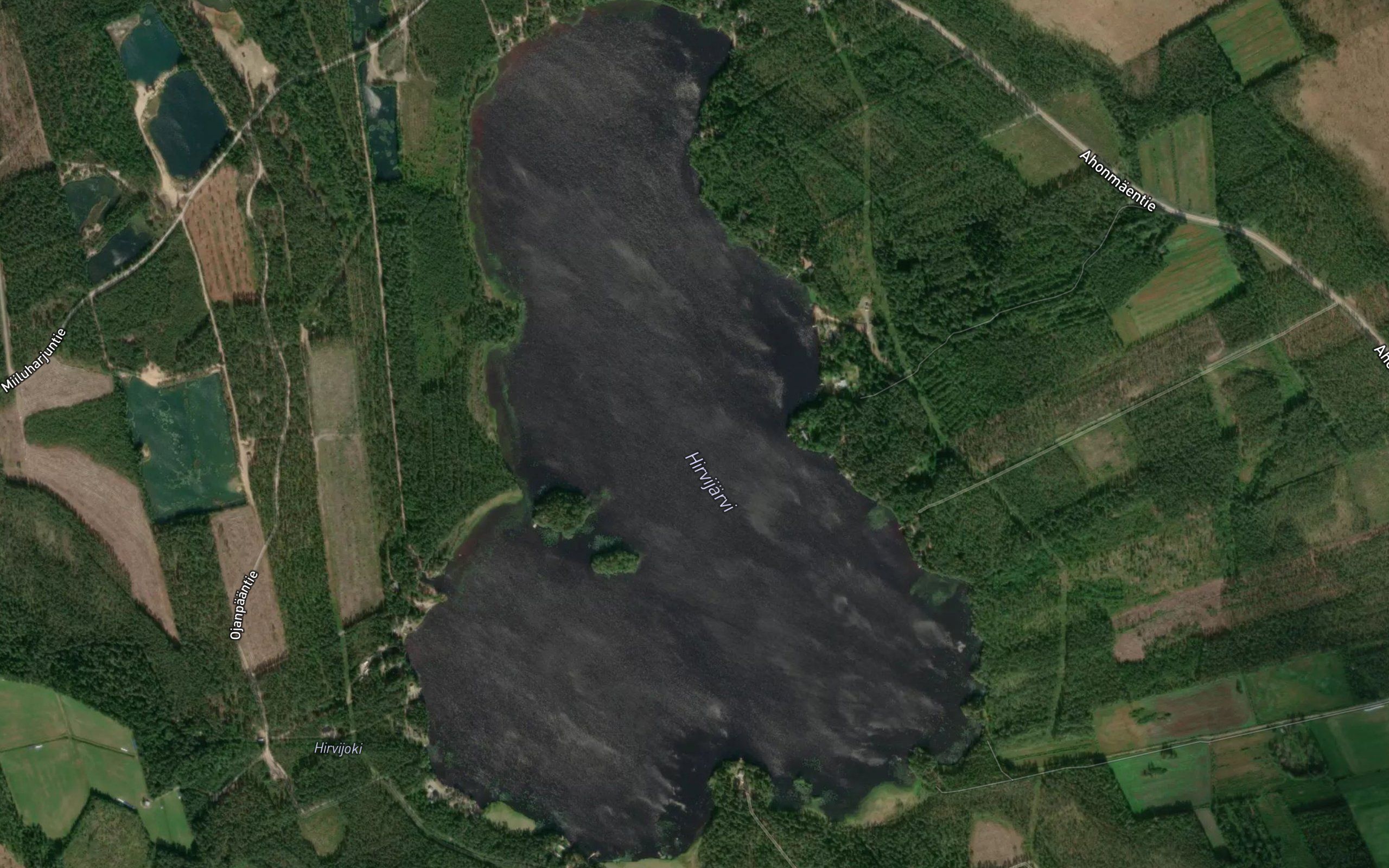 Hirvijarvi