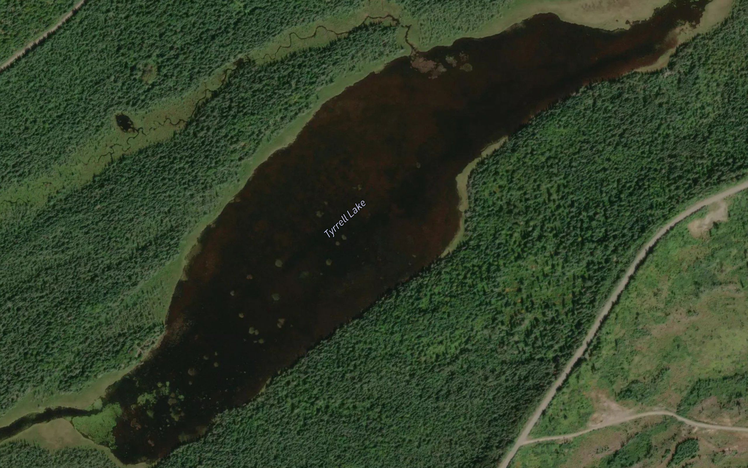 Tyrrell Lake