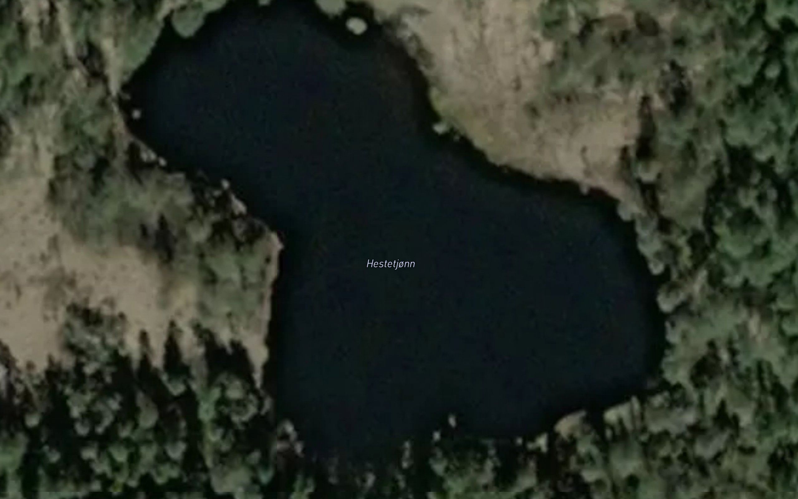Hestetjorn