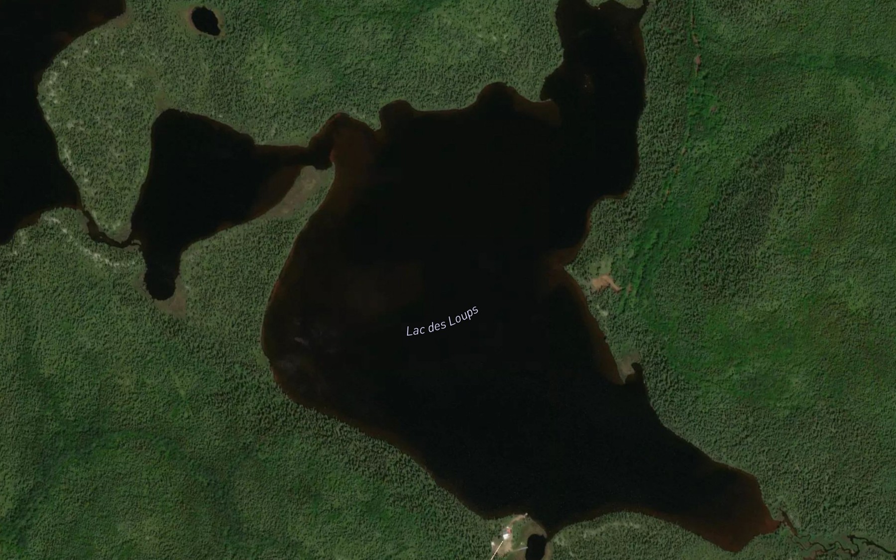 Satellite map of the Lac des Loups