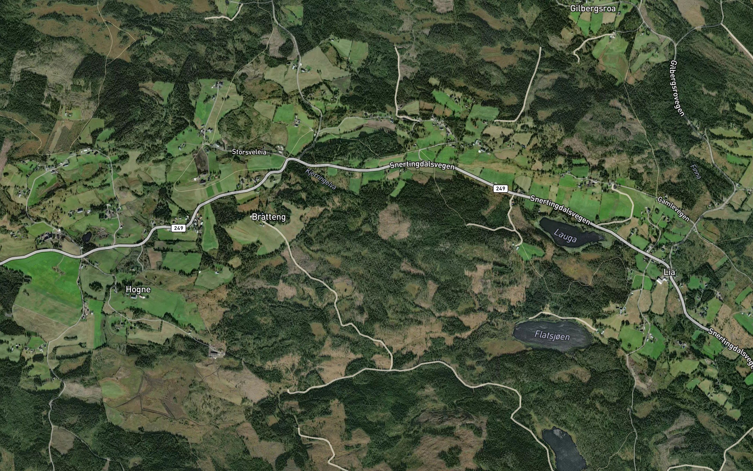 Kjerringelva