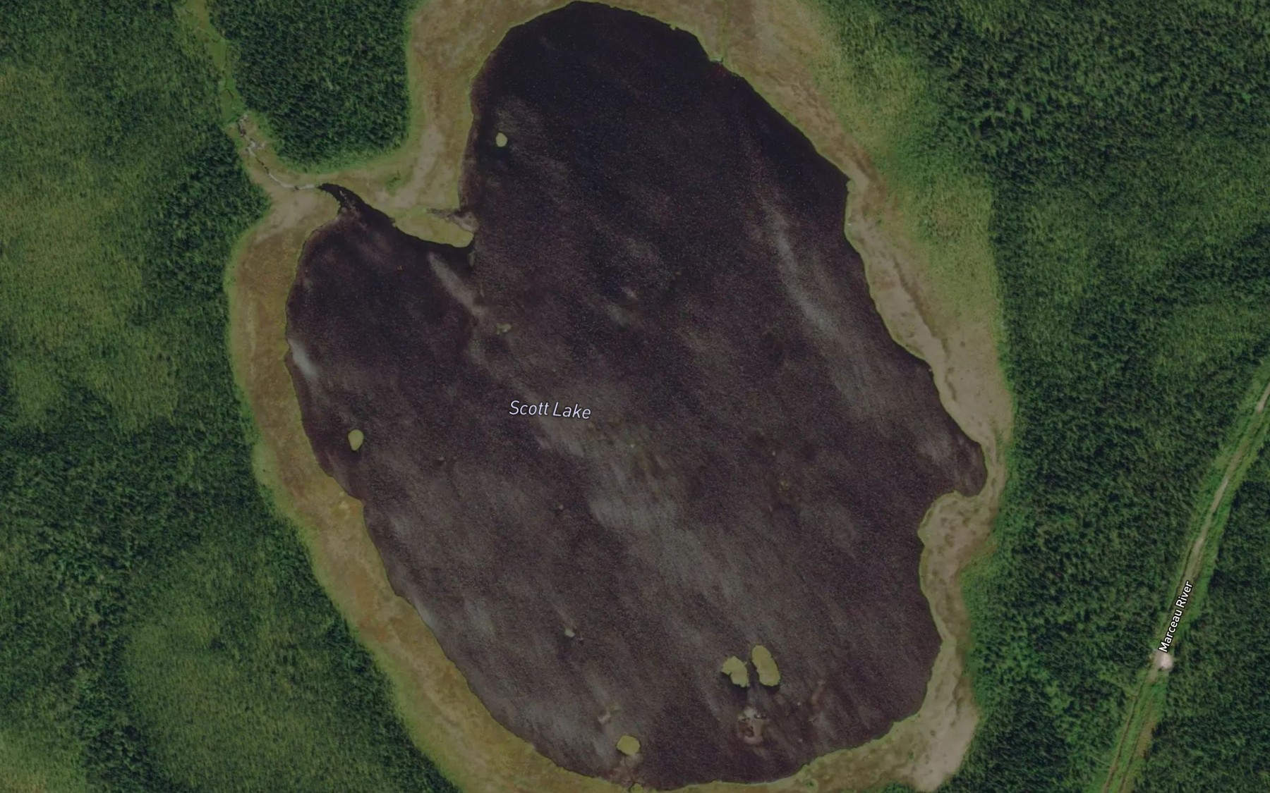 Satellite map of the Scott Lake