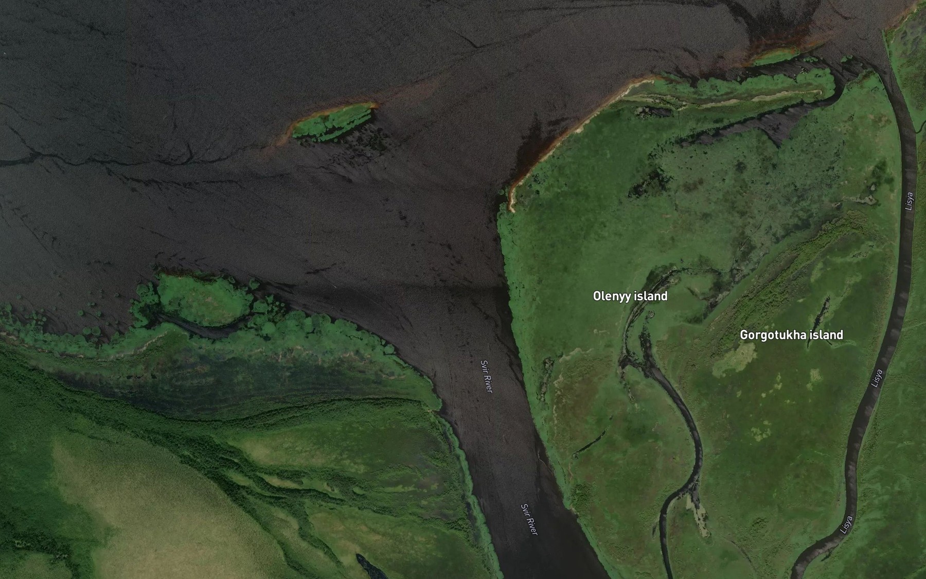Satellite map of the Svir'