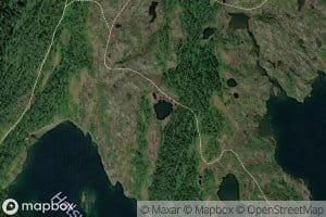 Leontjonna