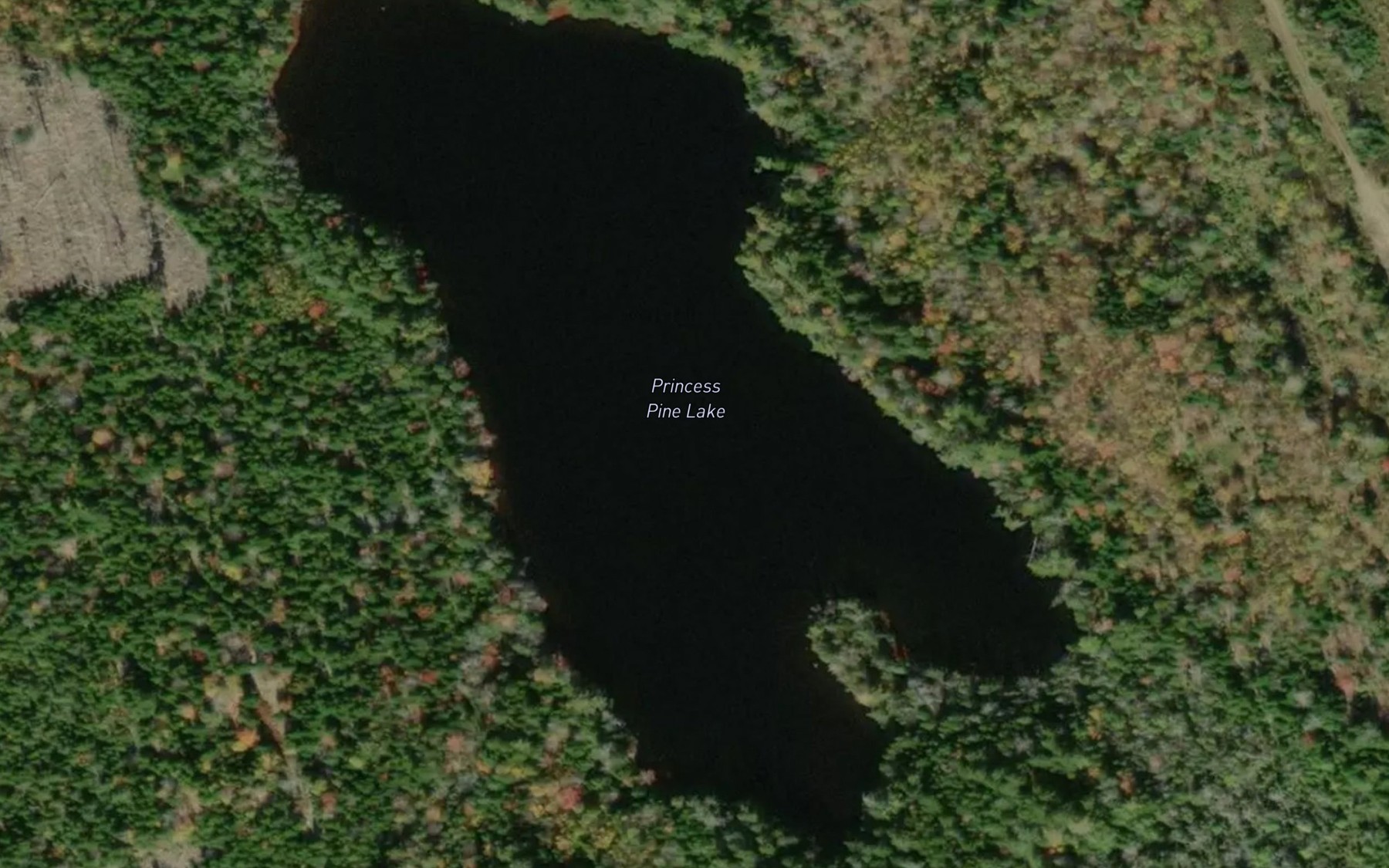 Satellite map of the Princess Pine Lake