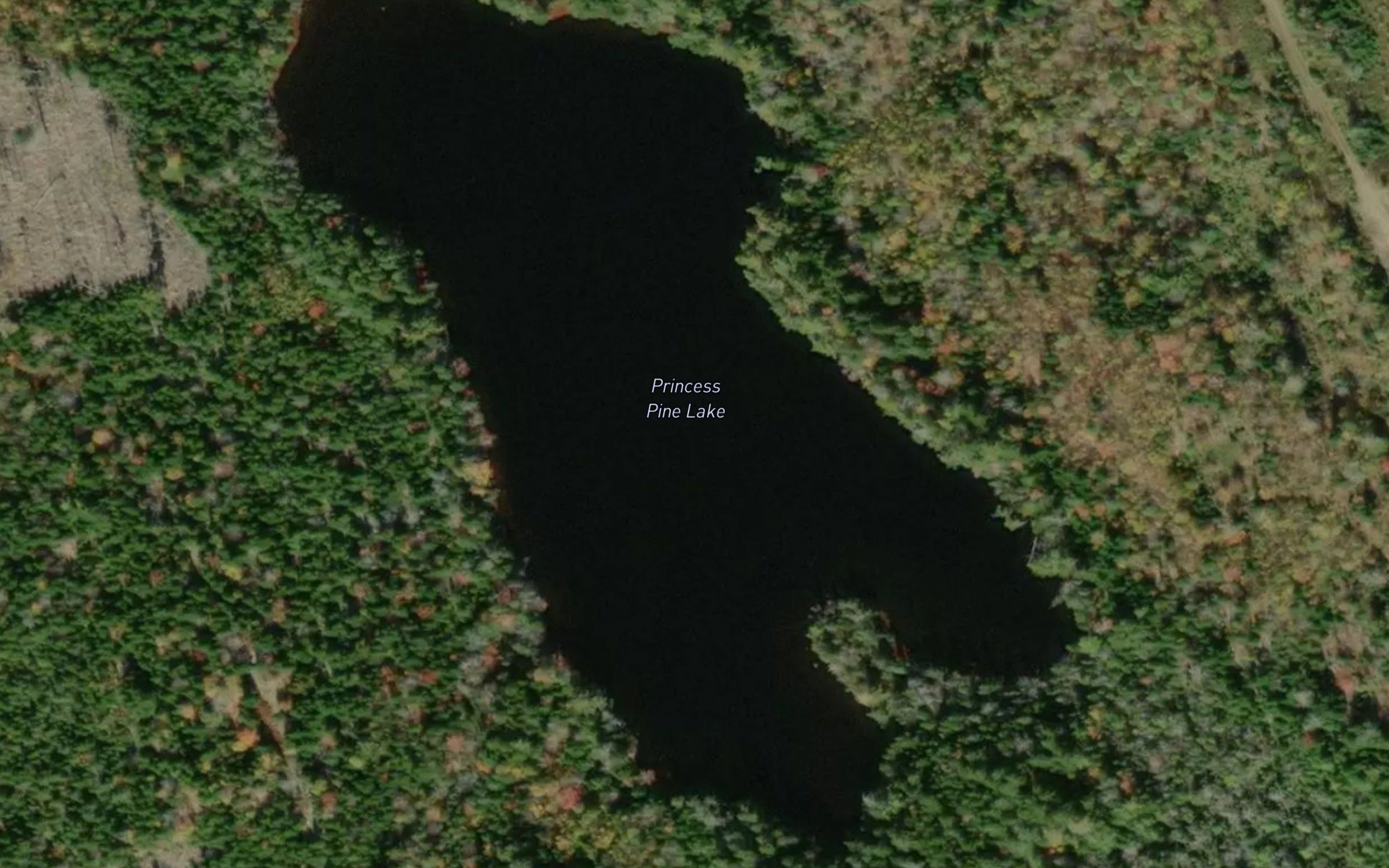 Princess Pine Lake