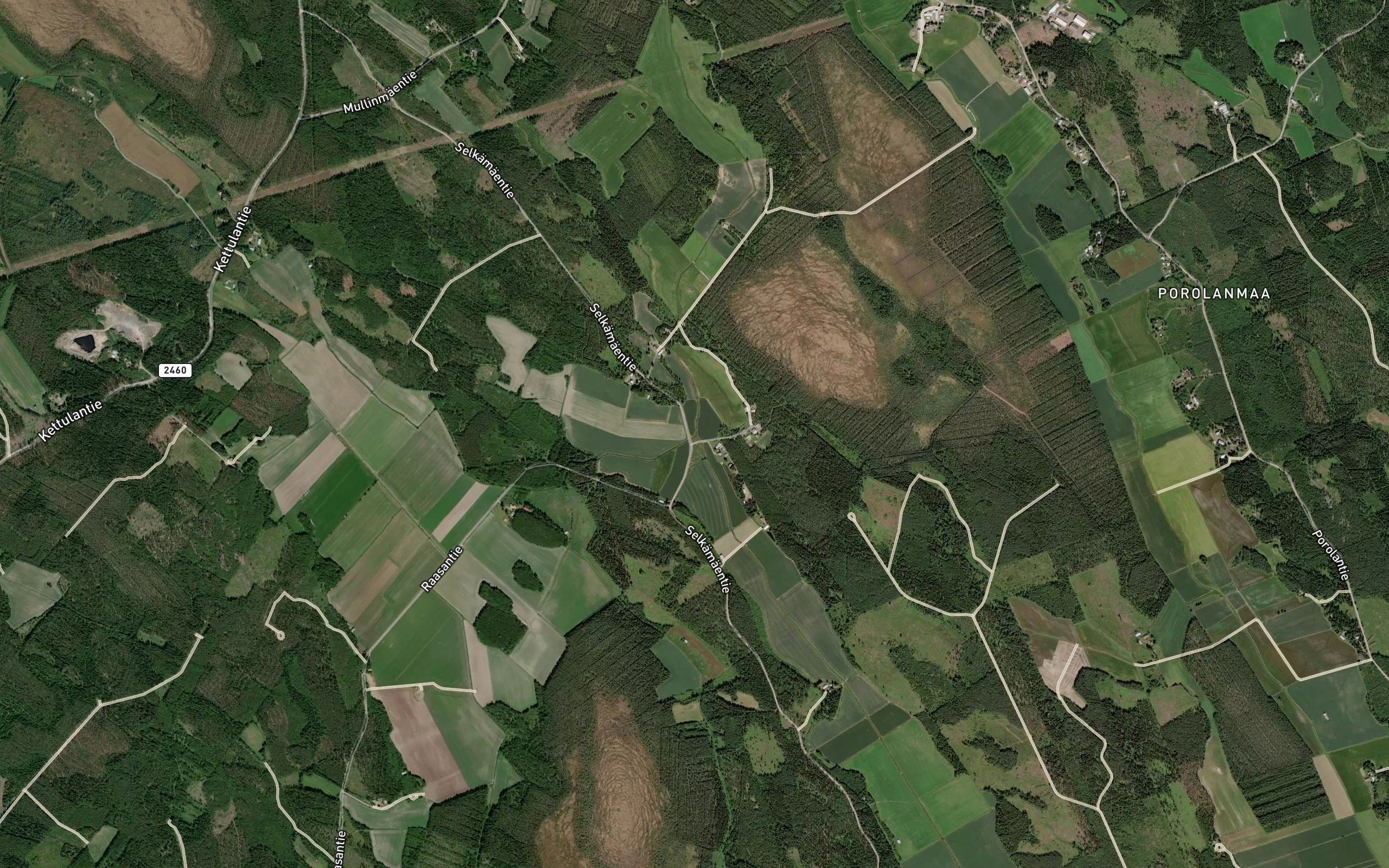 Raasanoja