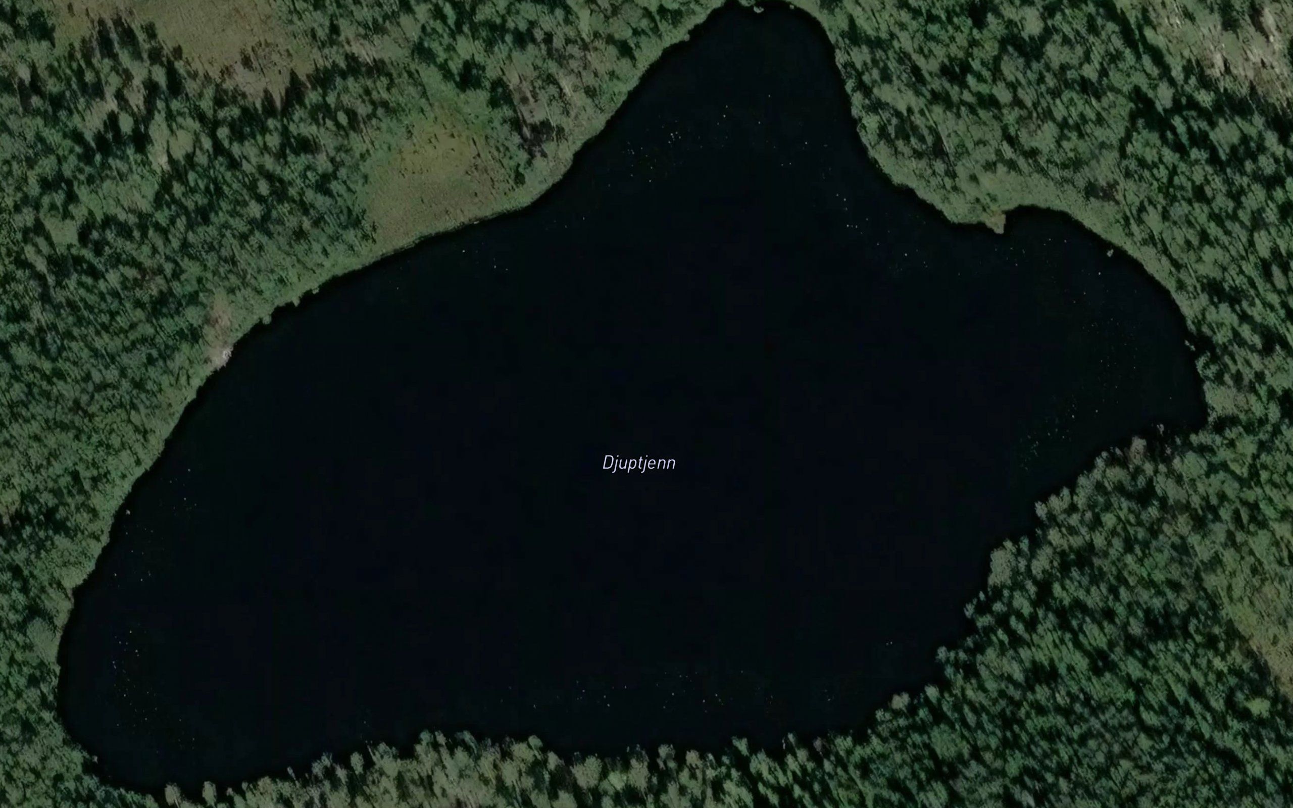 Djuptjennet