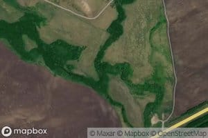 Orlyanka