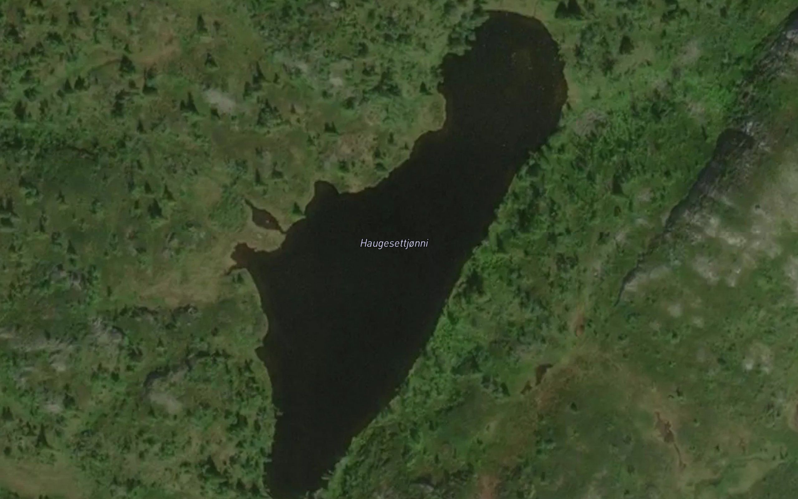 Haugesettjonni