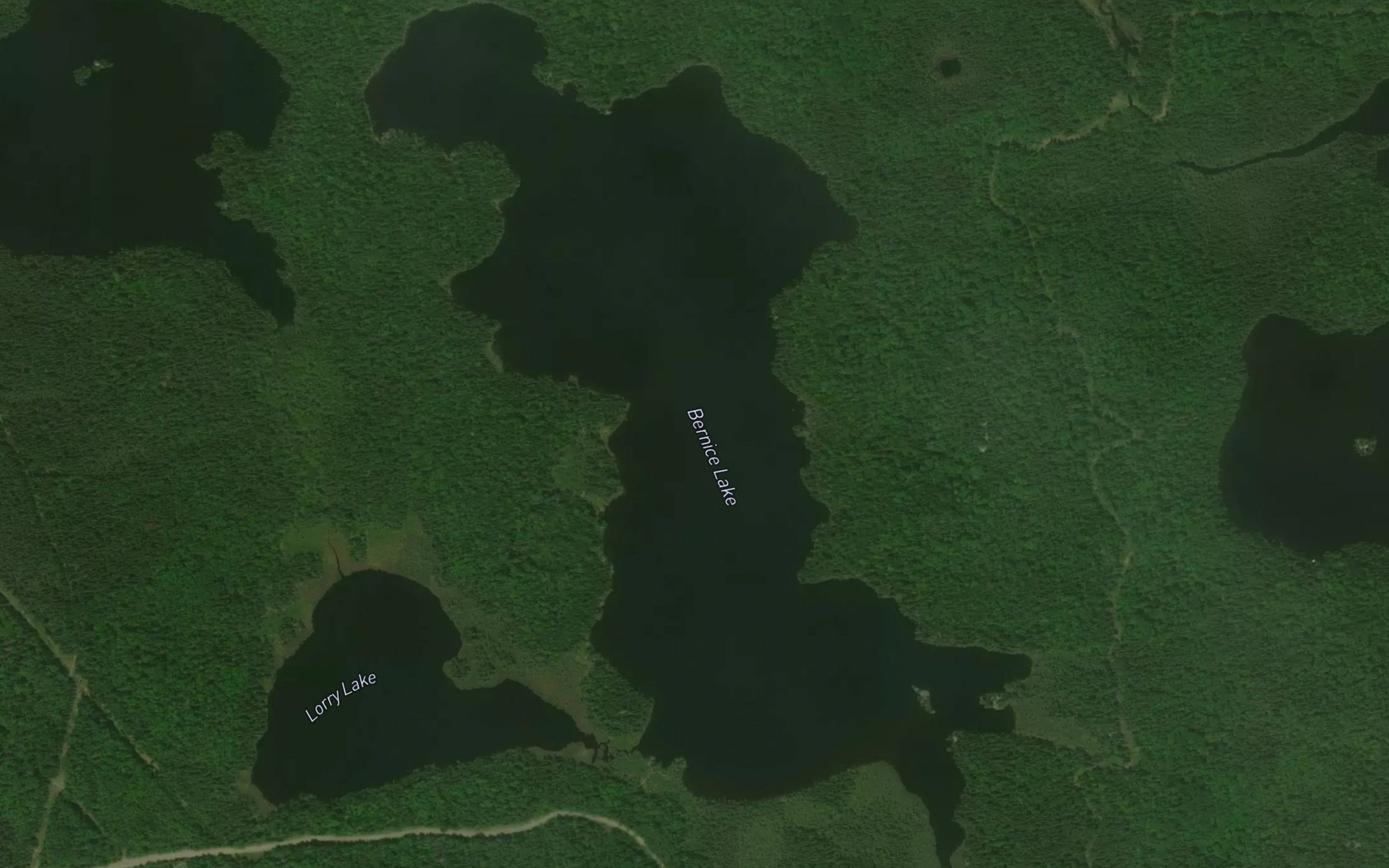 Satellite map of the Bernice Lake