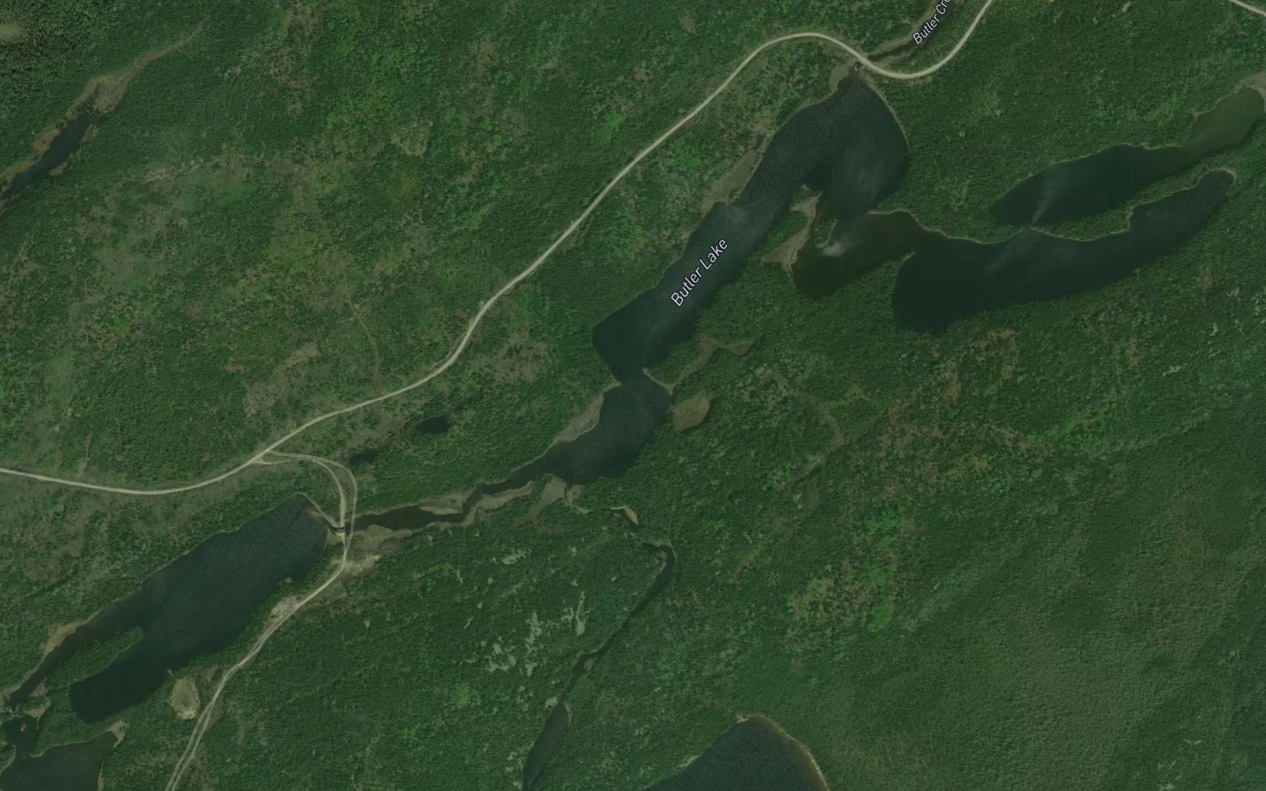 Satellite map of the Butler Lake