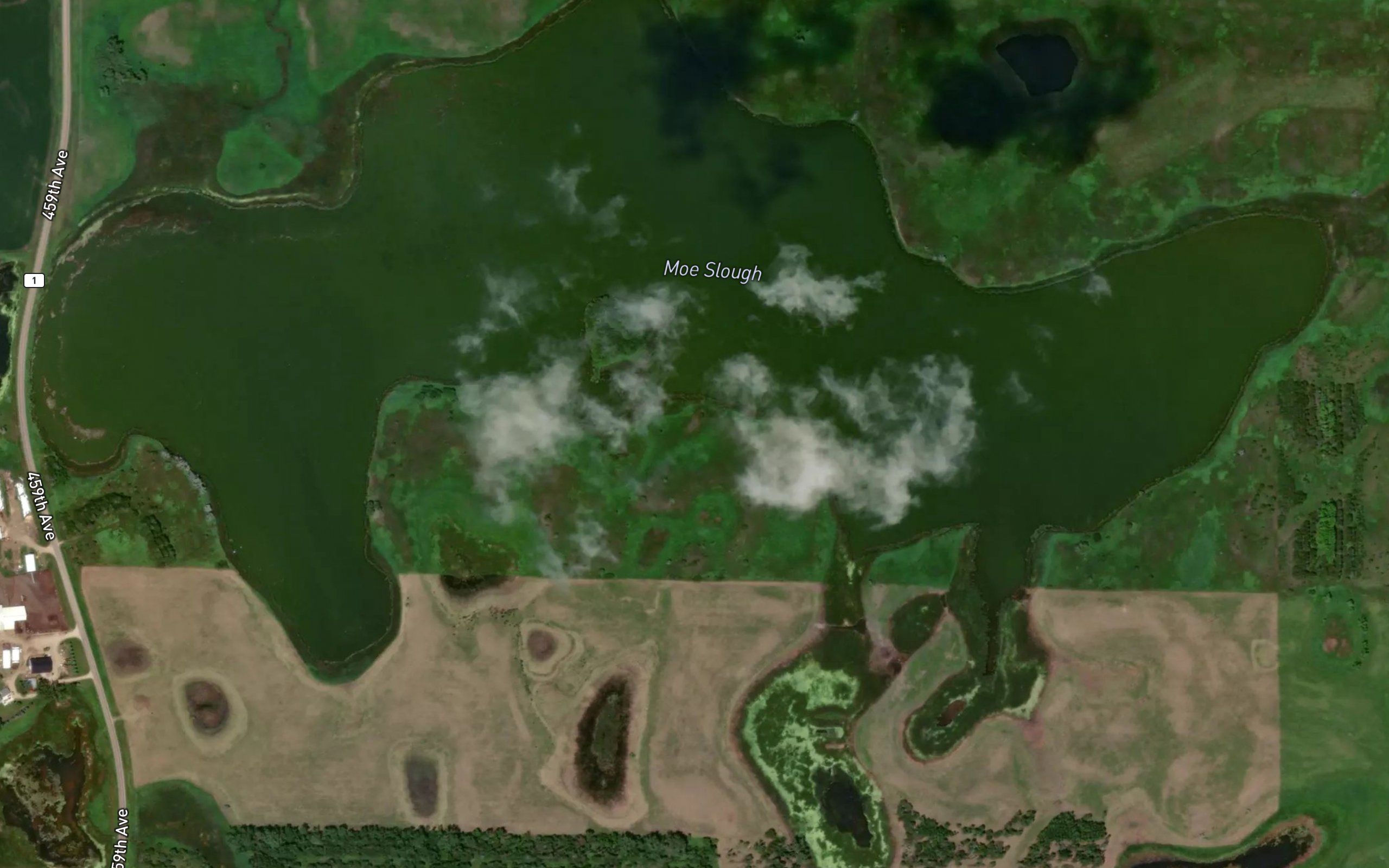 Moe Slough
