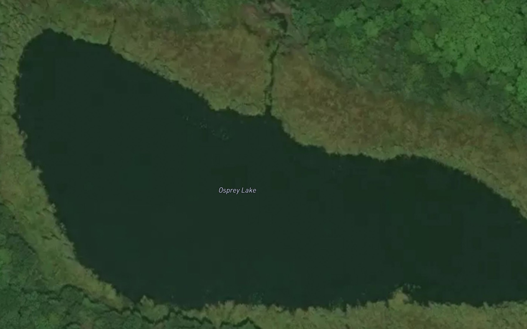 Satellite map of the Osprey Lake