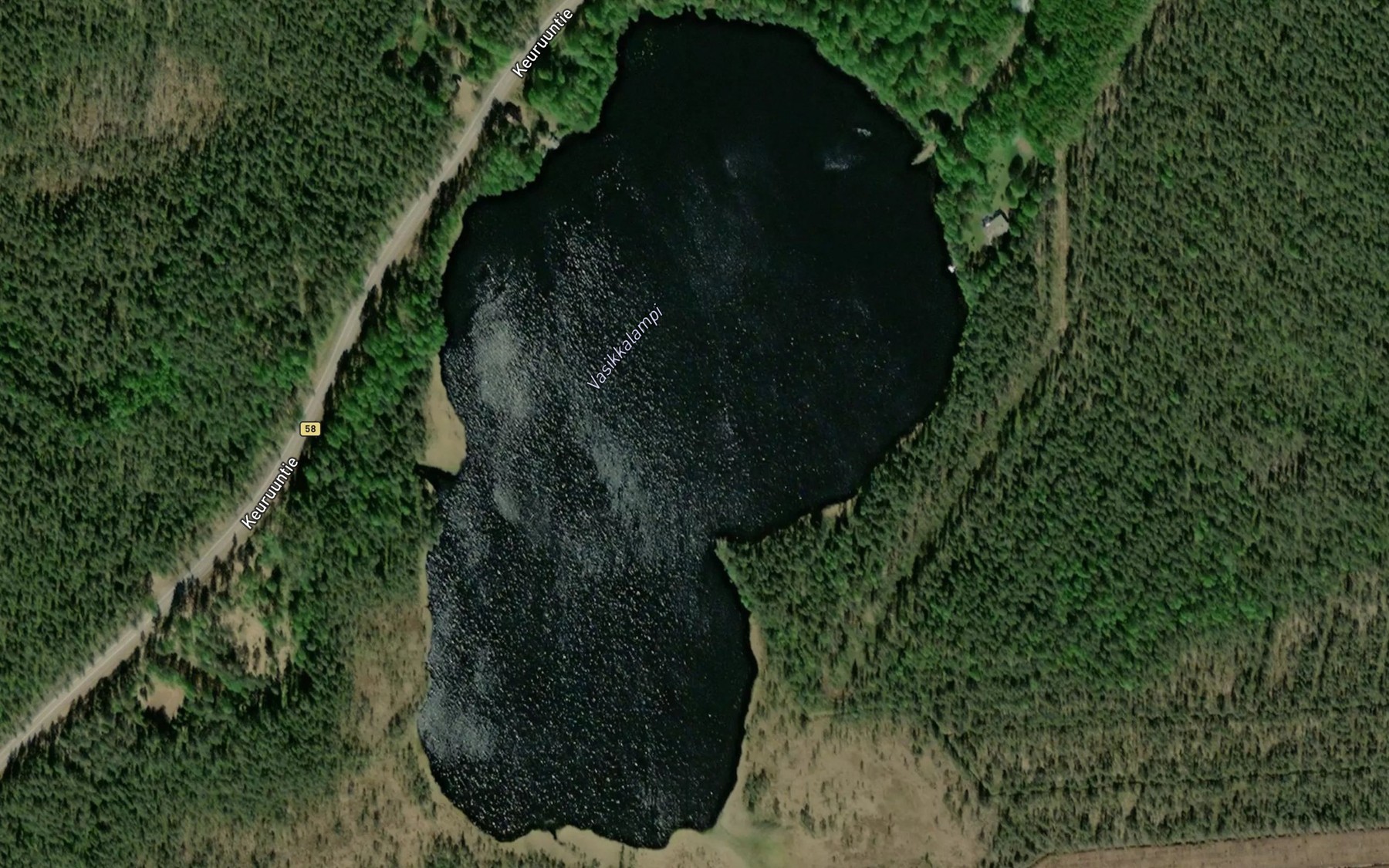 Satellite map of the Vasikkalampi