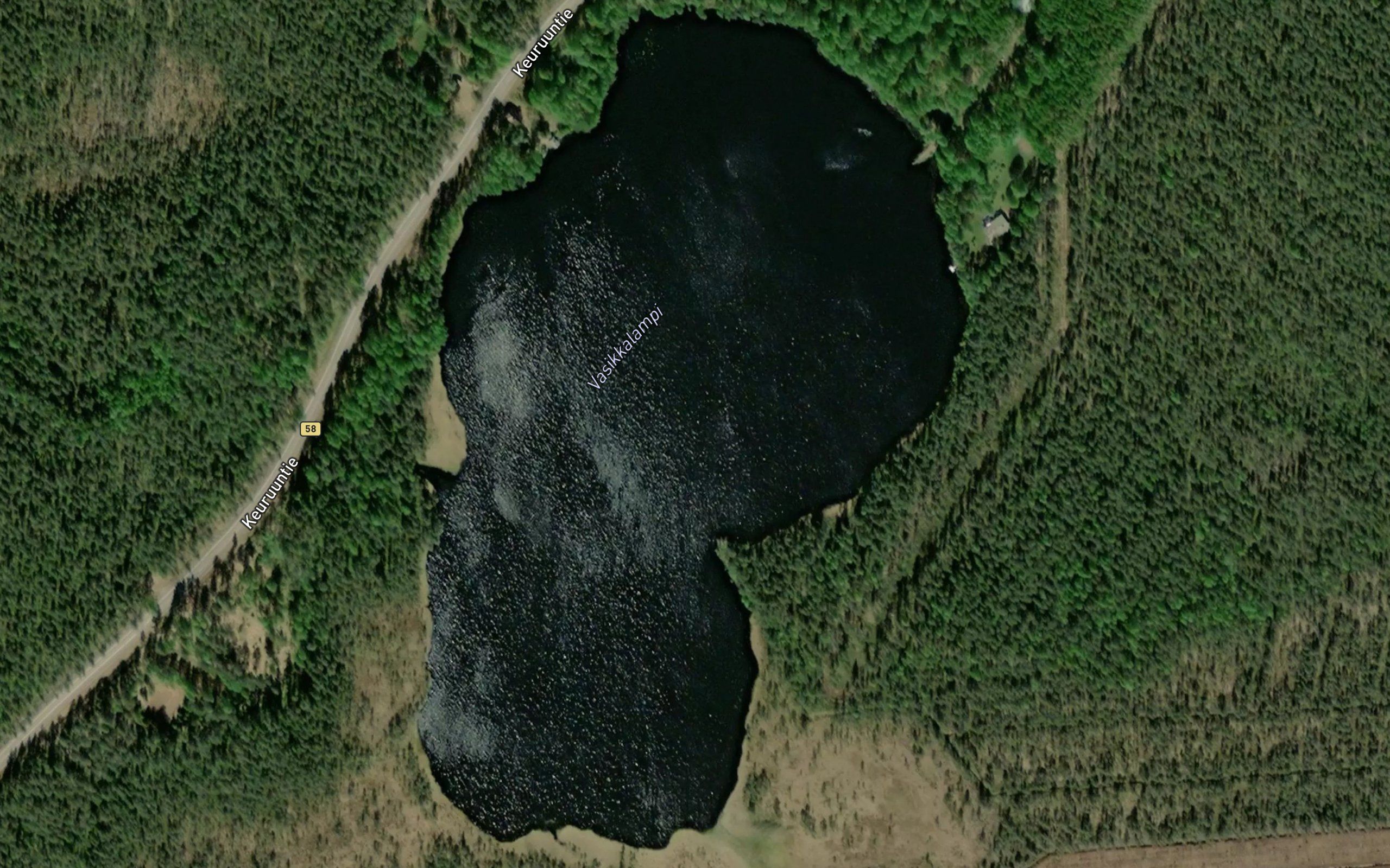 Vasikkalampi