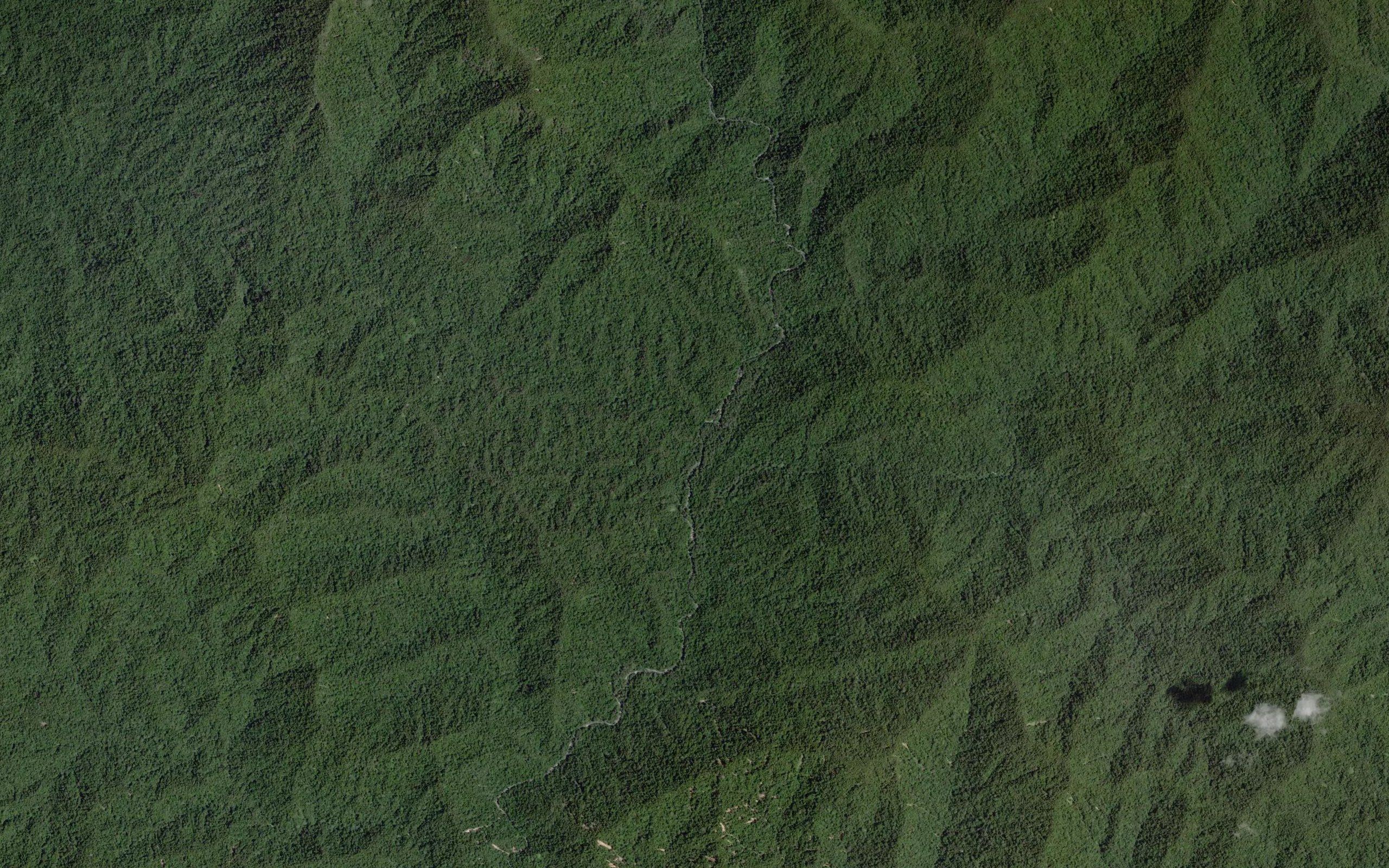 Dutula Kulaya