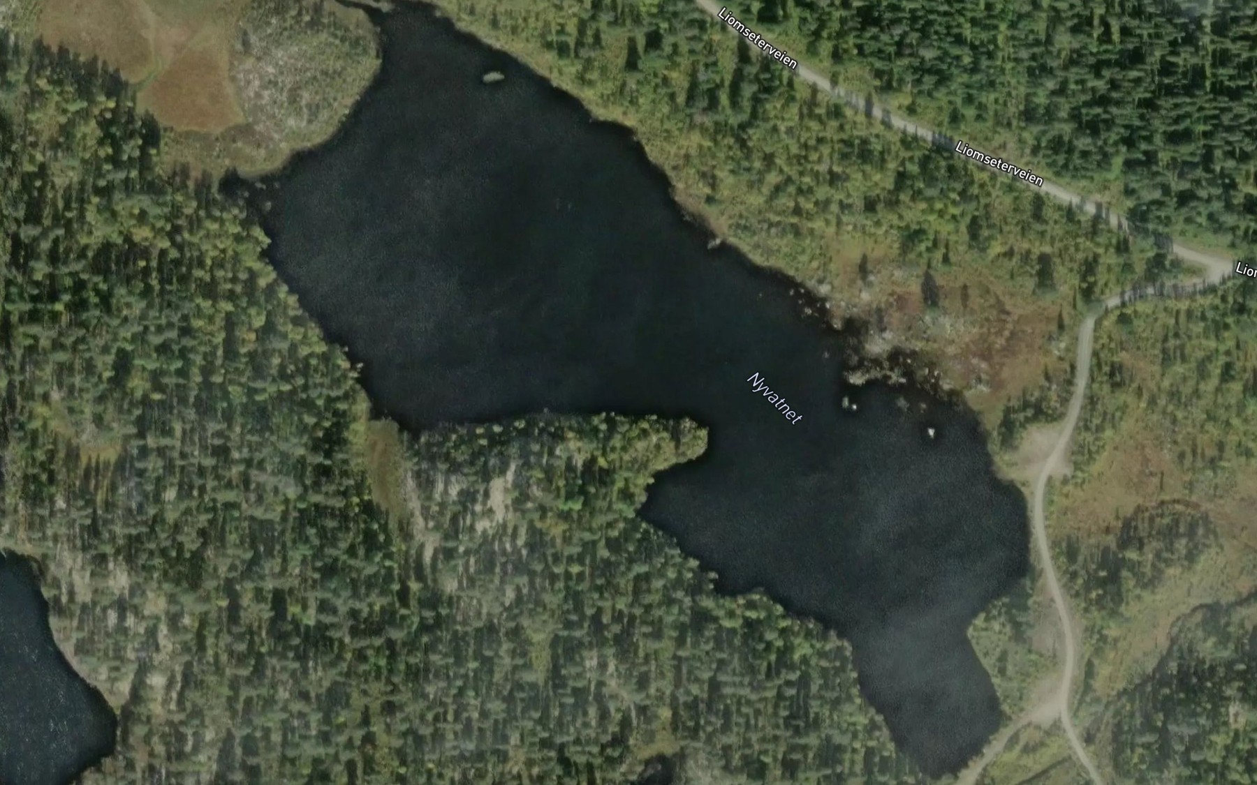 Satellite map of the Nyvatnet