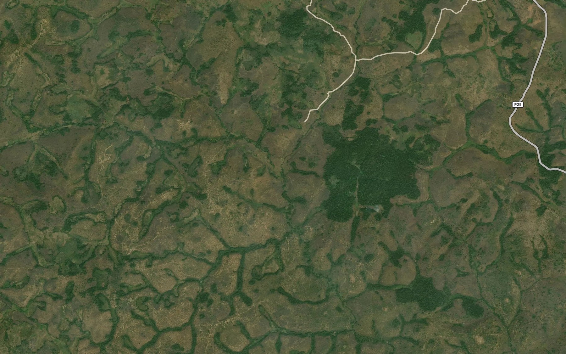 Satellite map of the Moing