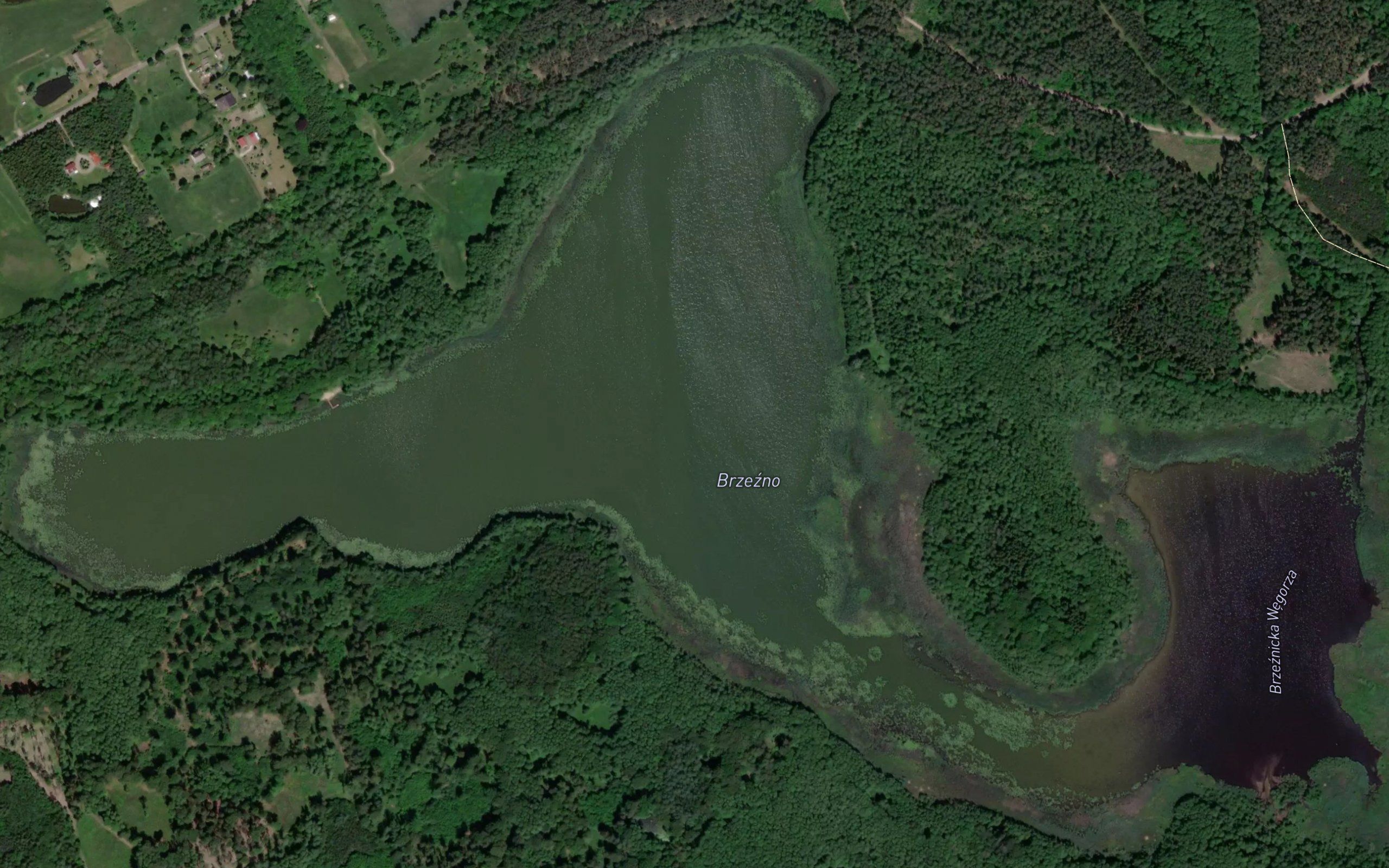 Jezioro Brzezno